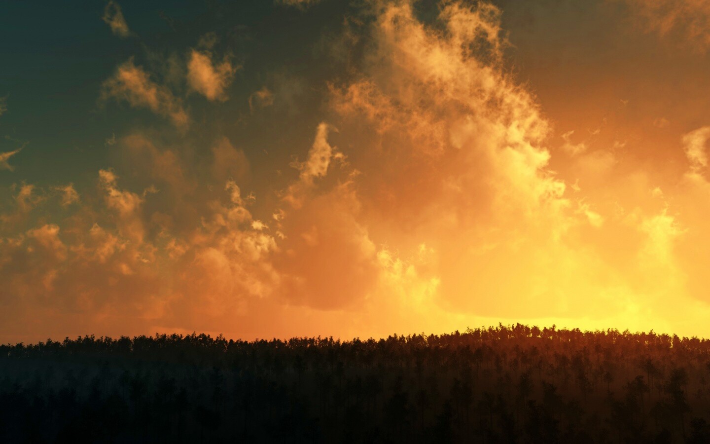 Закат над лесом обои