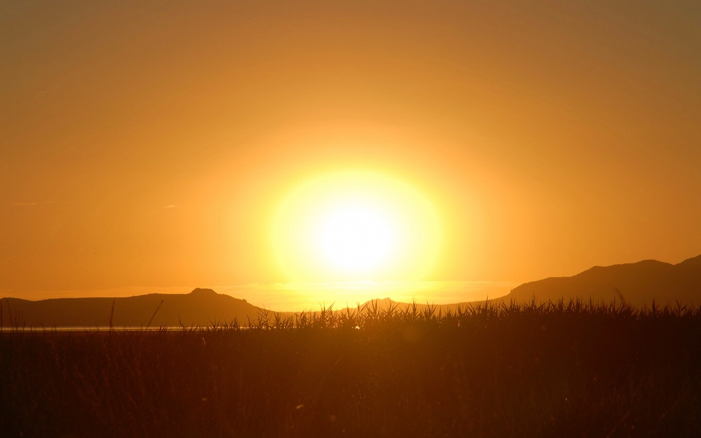 Сельский закат обои