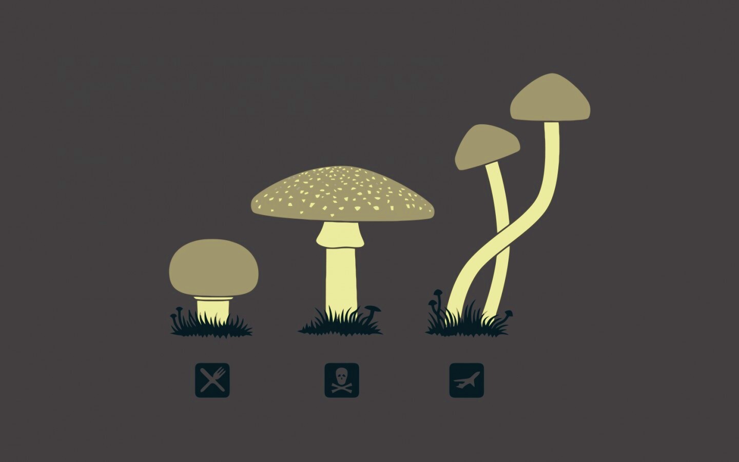 Грибочки обои