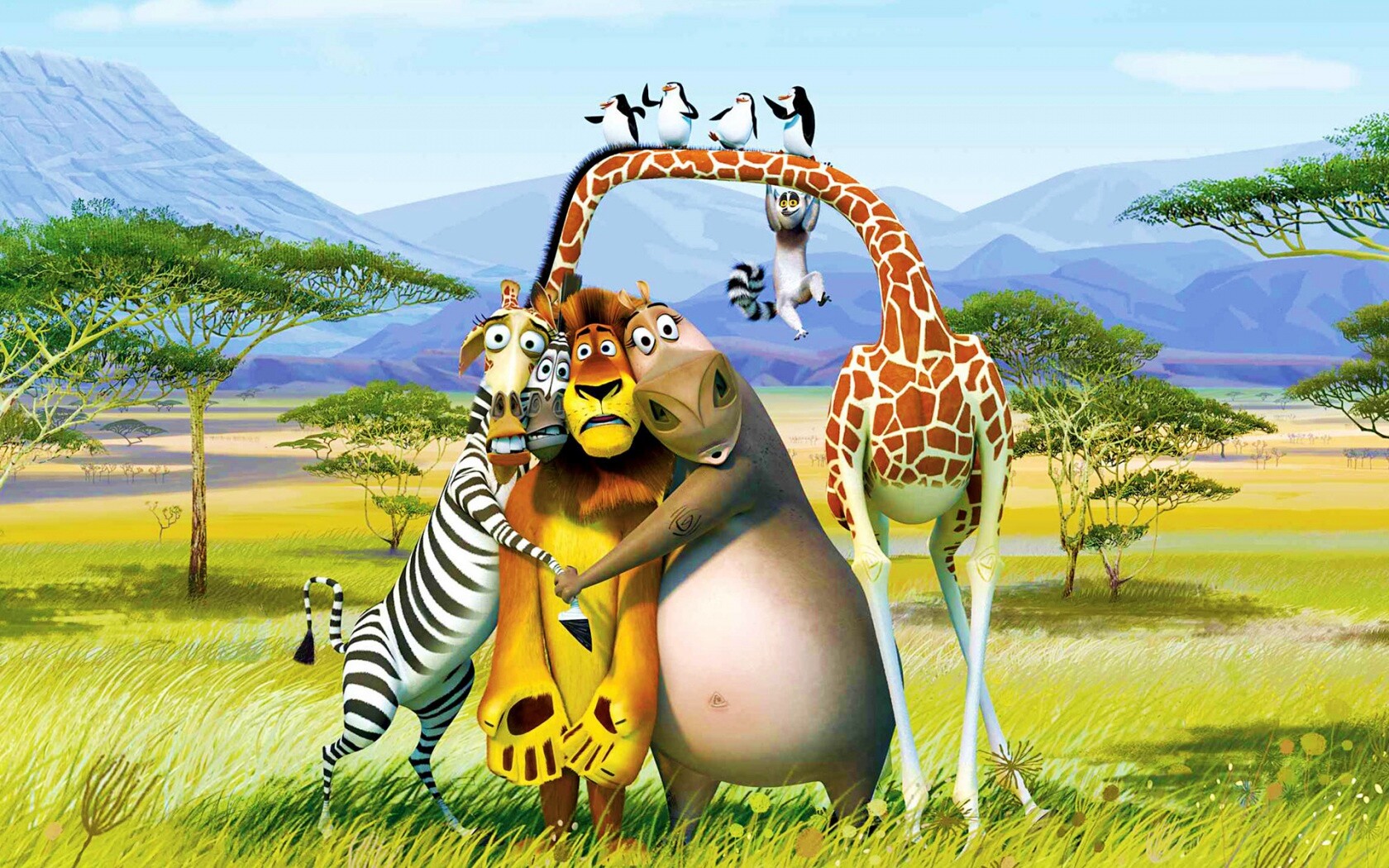 Герои мультфильма Мадагаскар обои