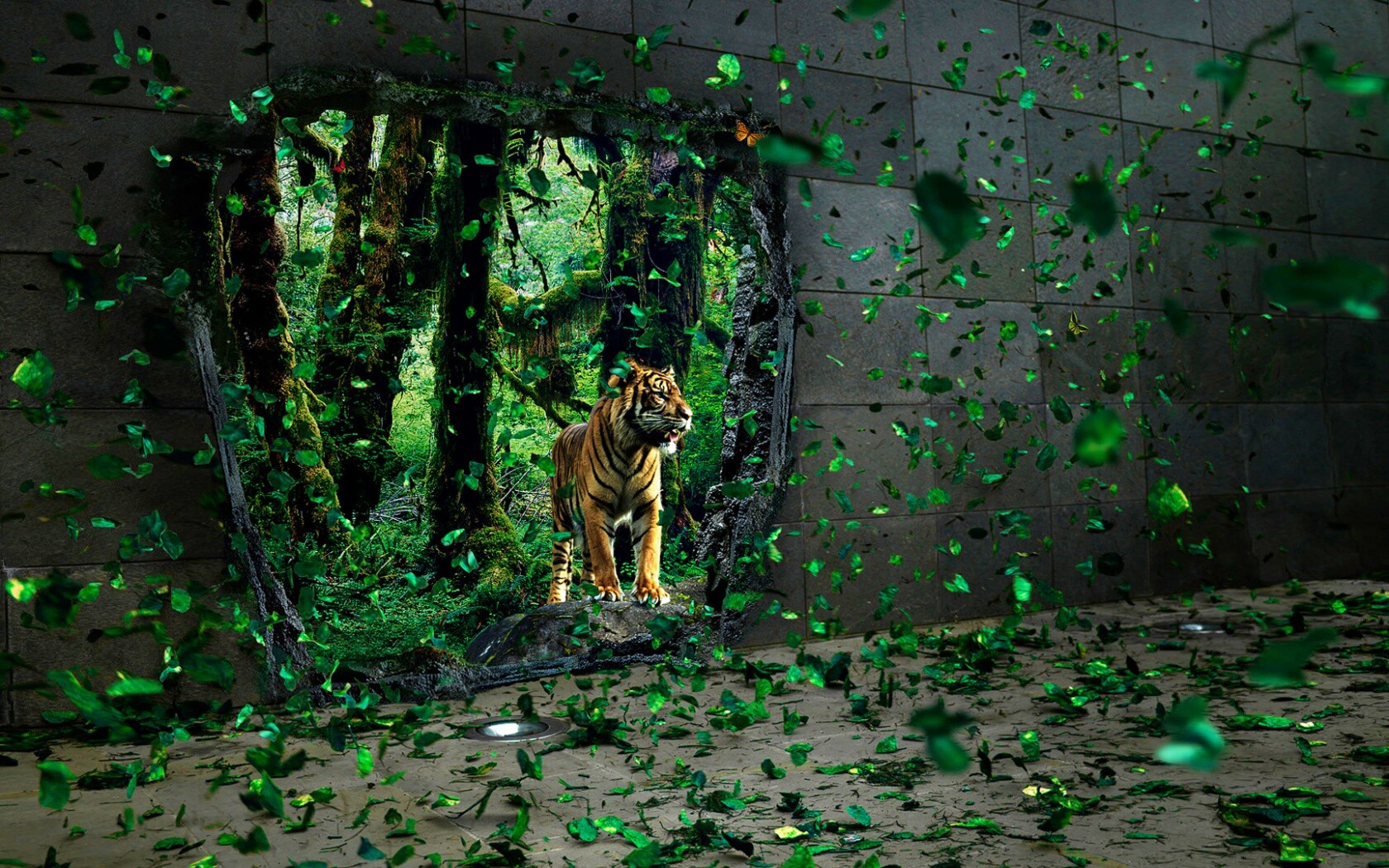 Портал в джунги обои