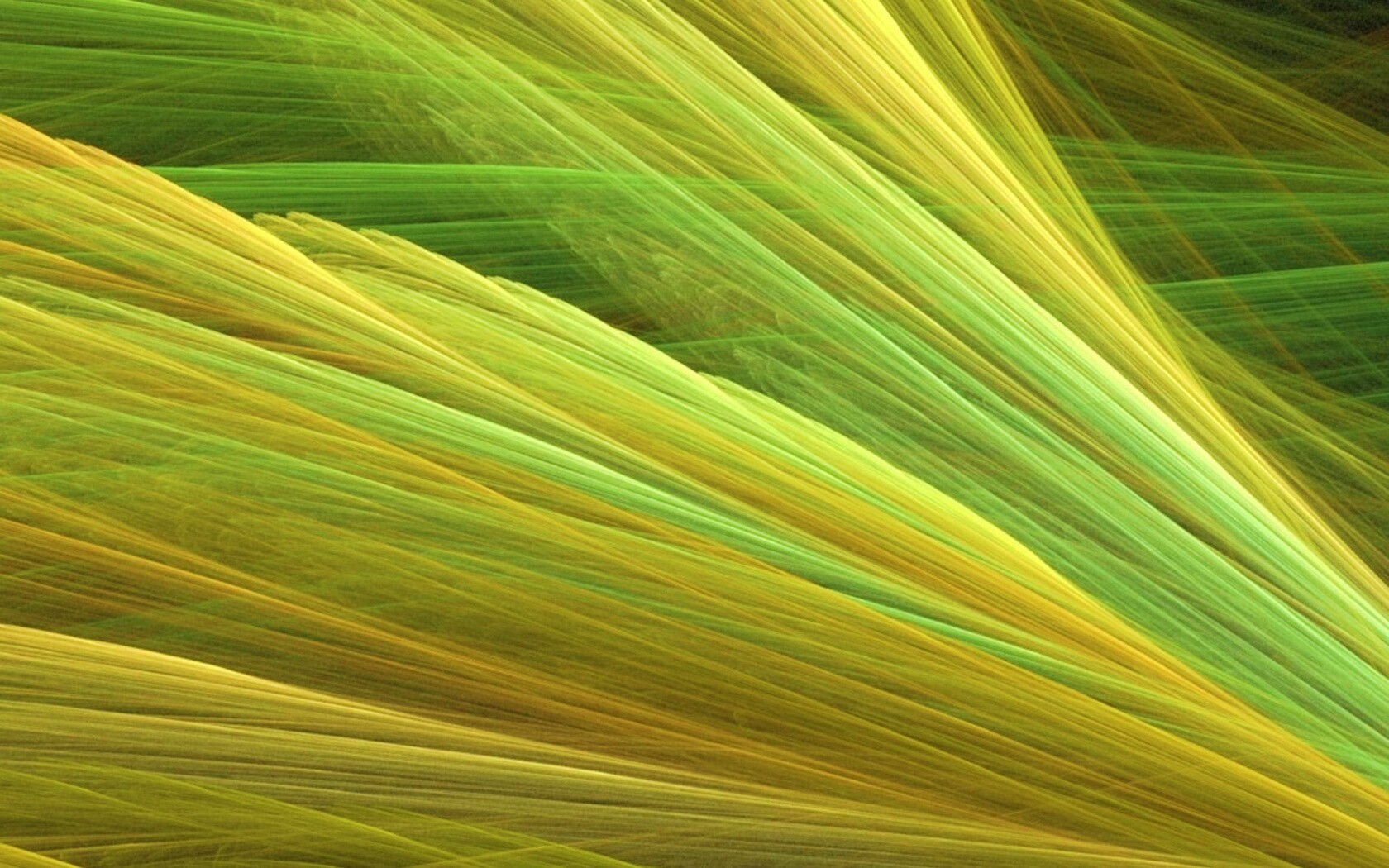 Прозрачные зеленоватые крылья обои