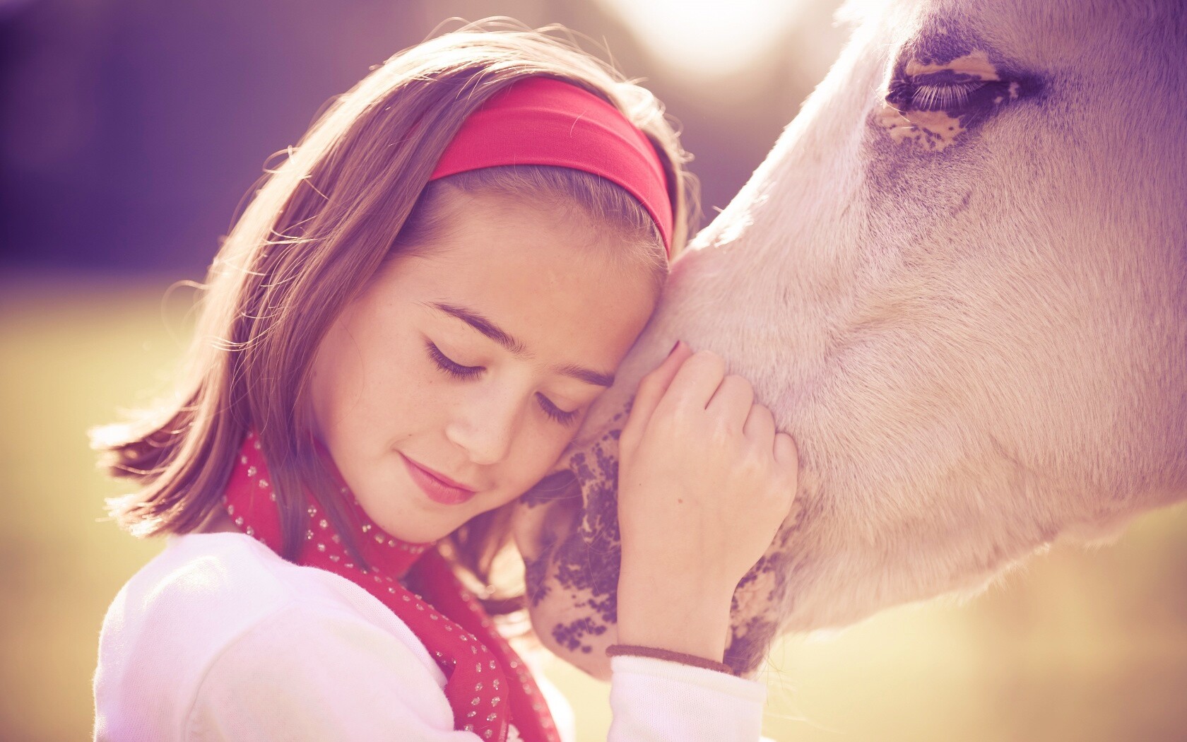 Девочка и лошадь обои