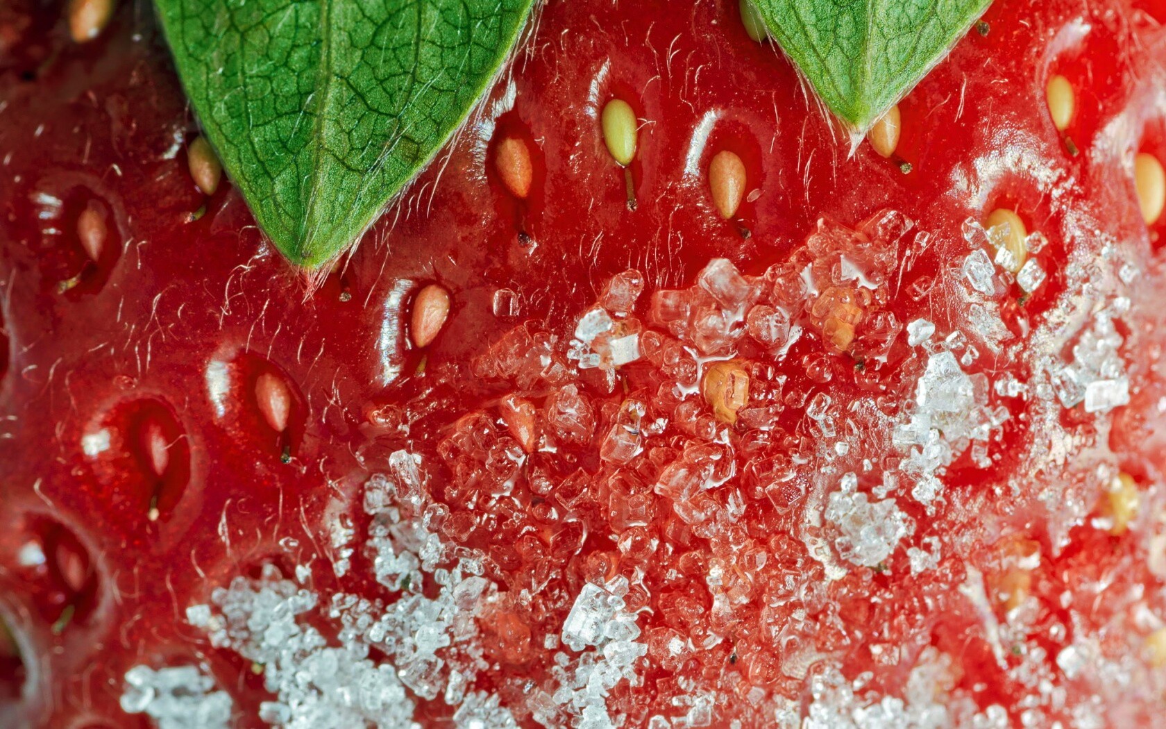 Клубника в сахаре обои