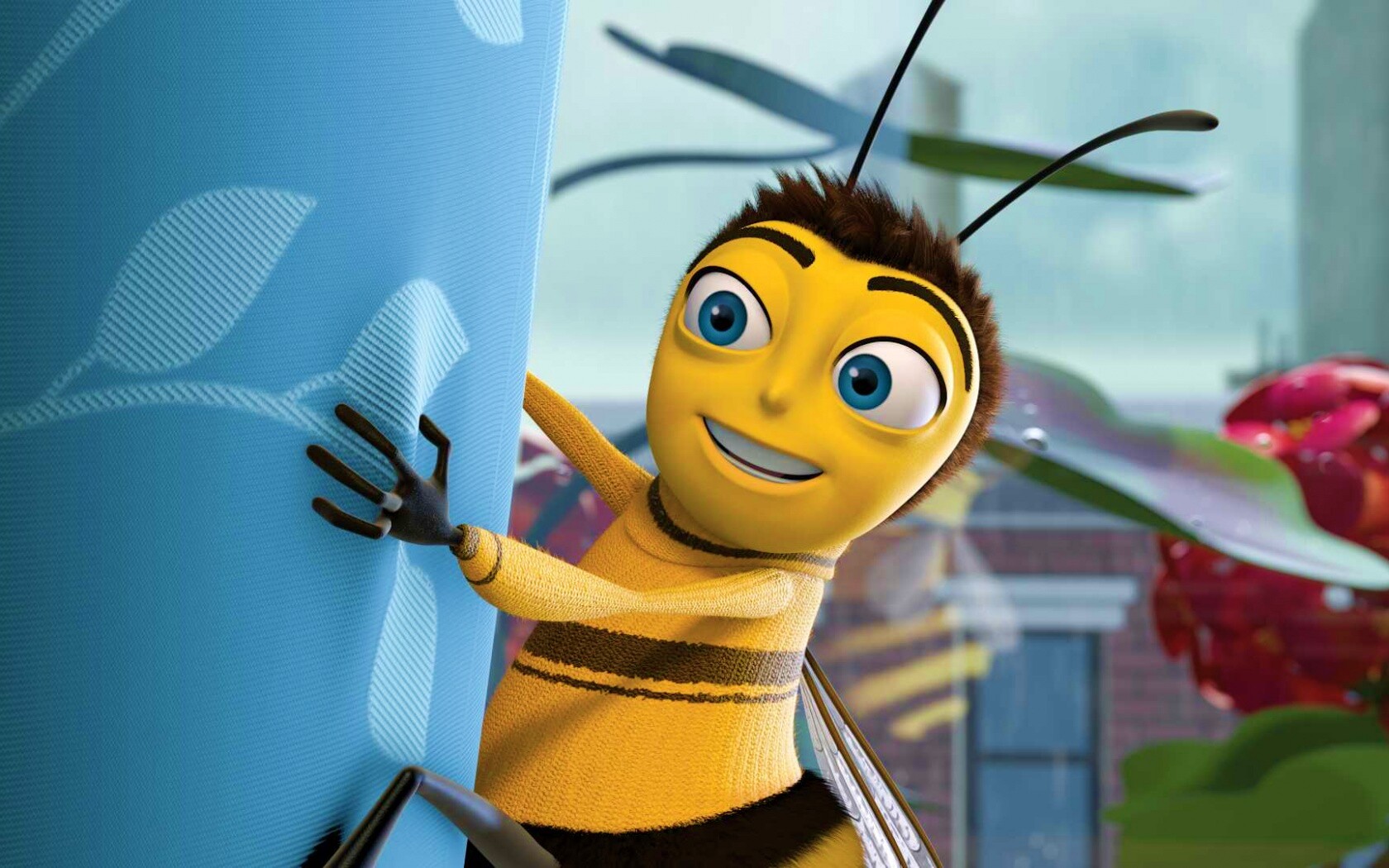 Бимуви обои