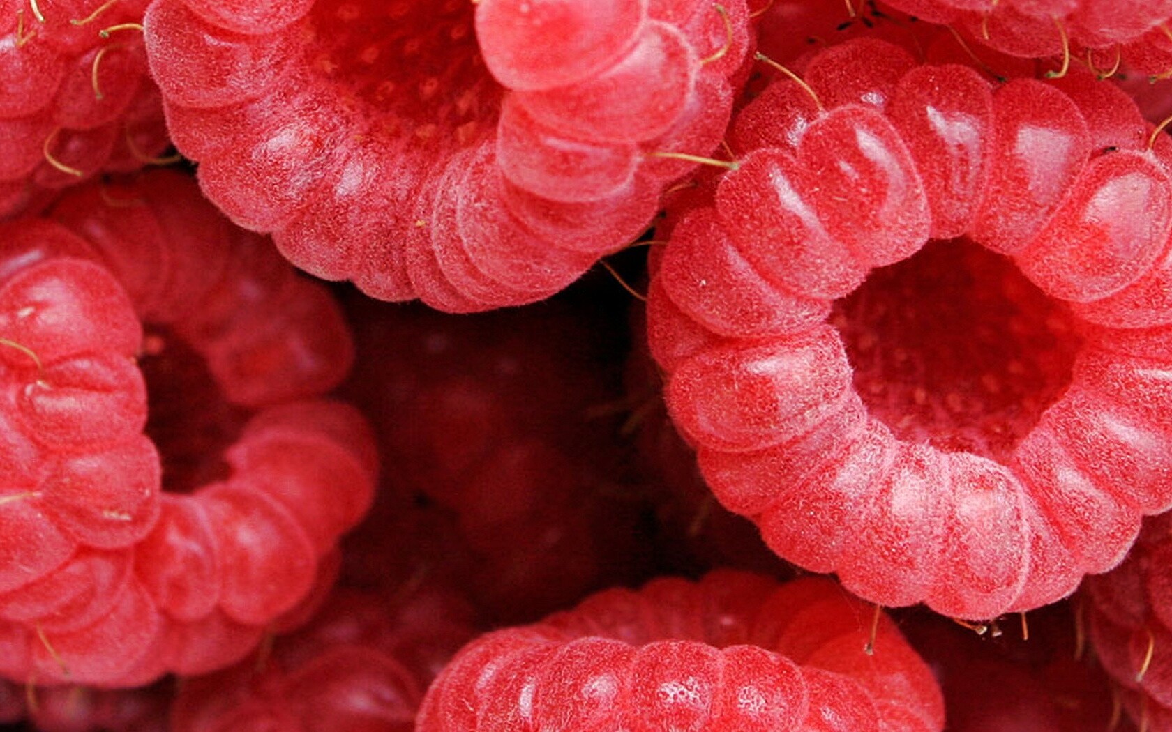 Малина обои