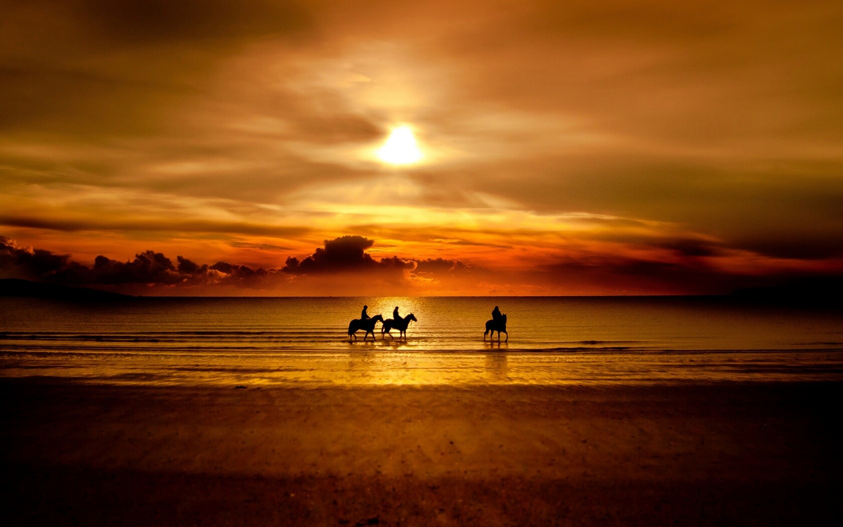 Наездники на закате обои