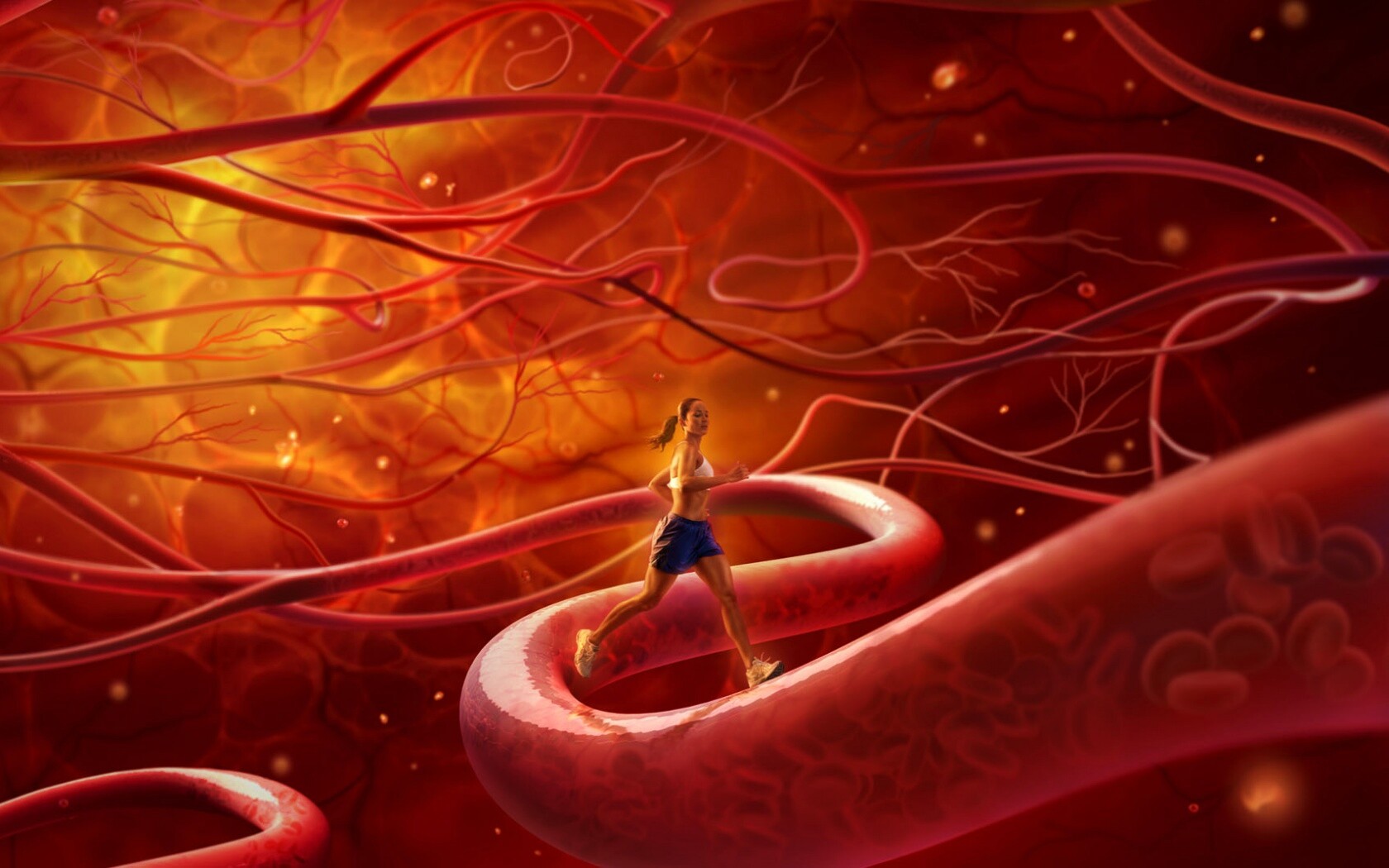 Бег крови обои