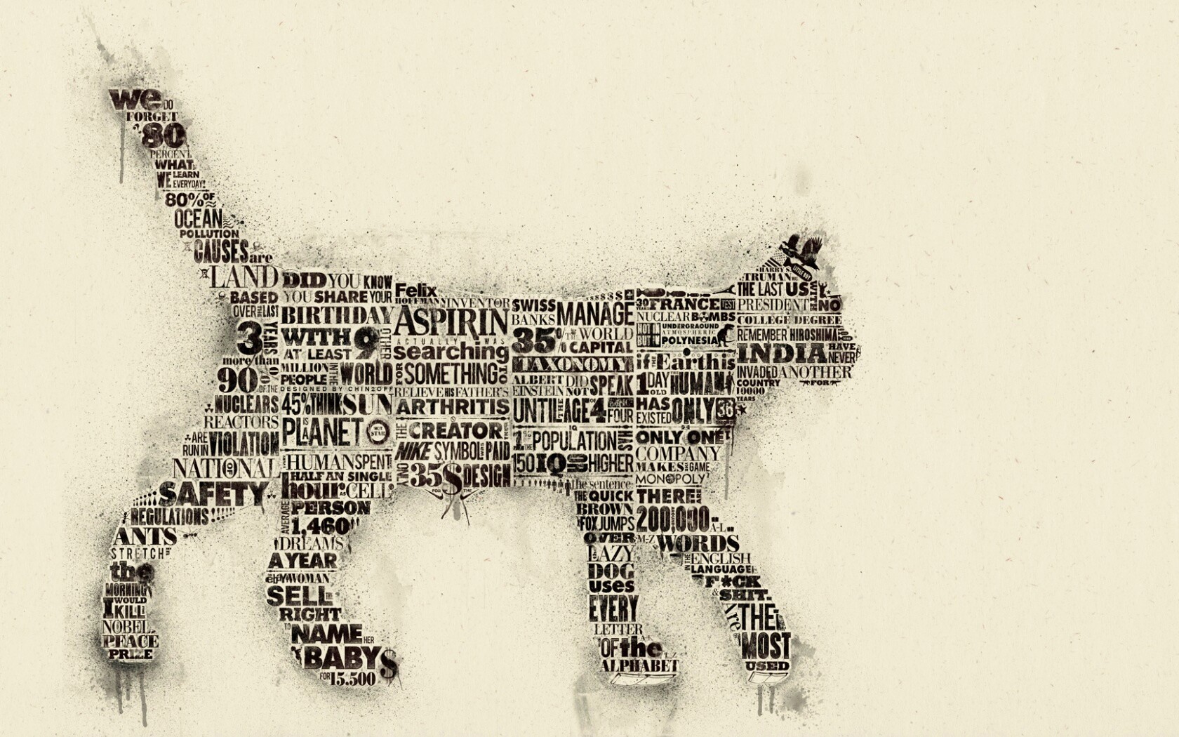 Кот - газета обои