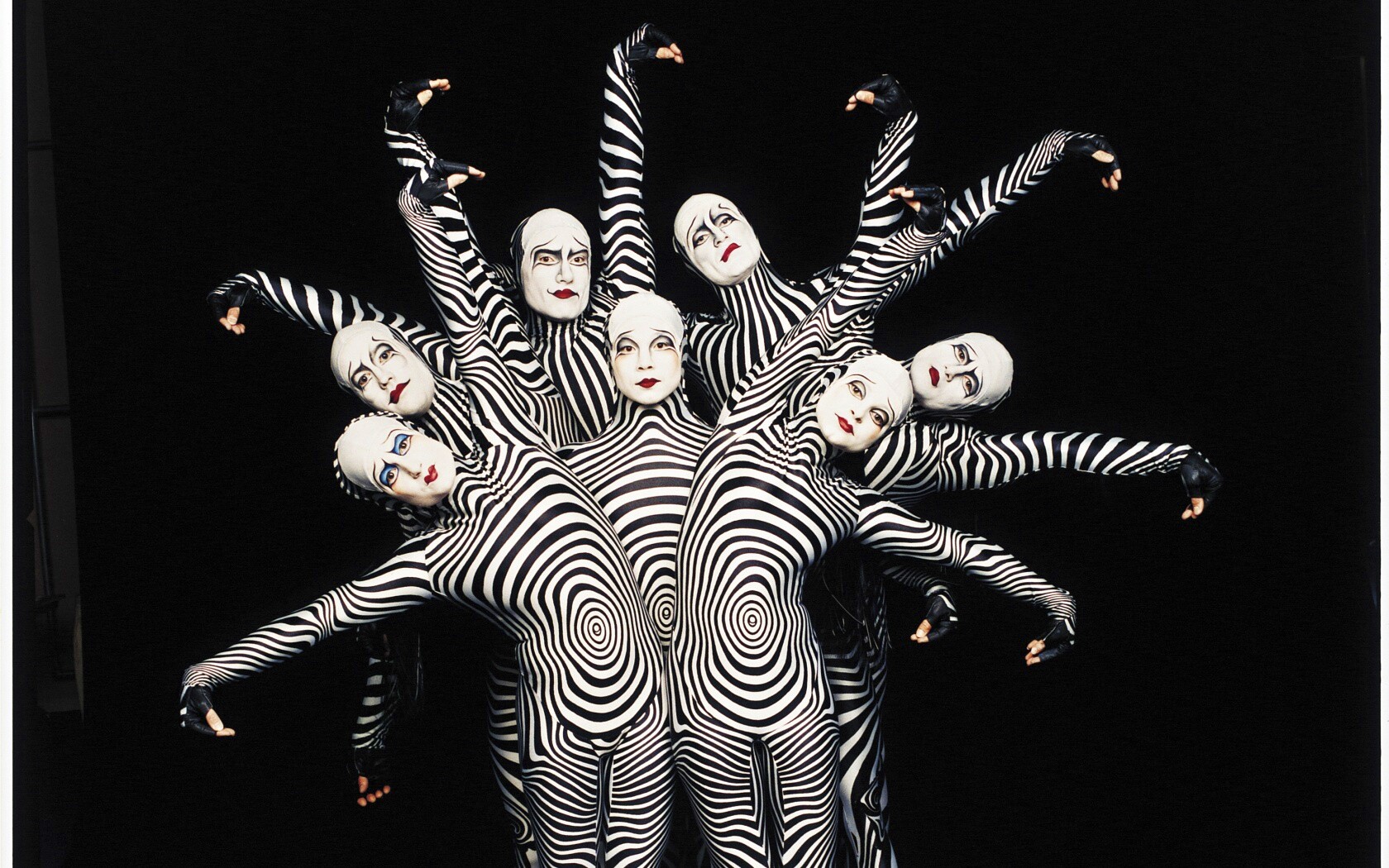 Зеброиды (актеры цирка дю солей) обои