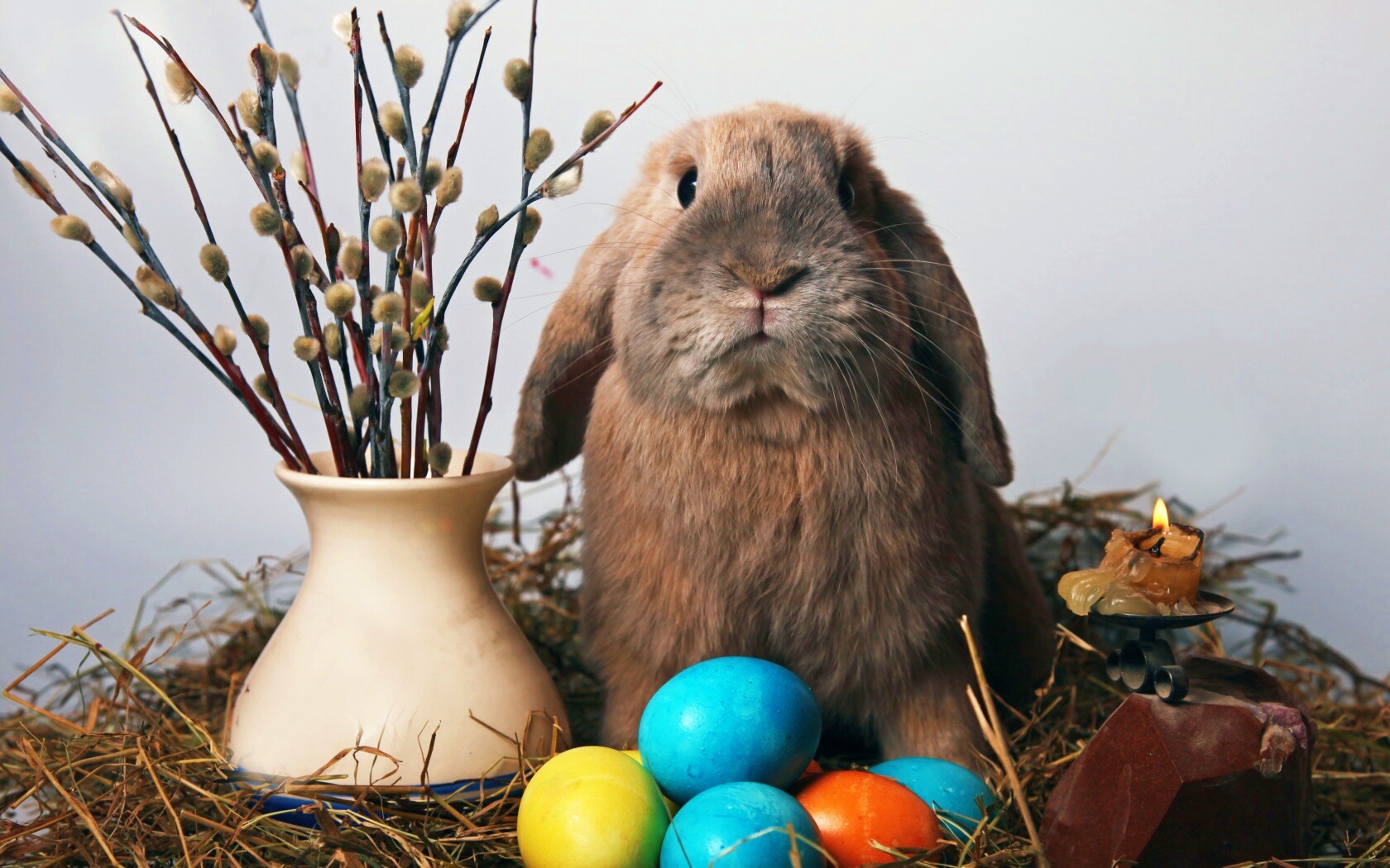 Пасхальный кролик обои
