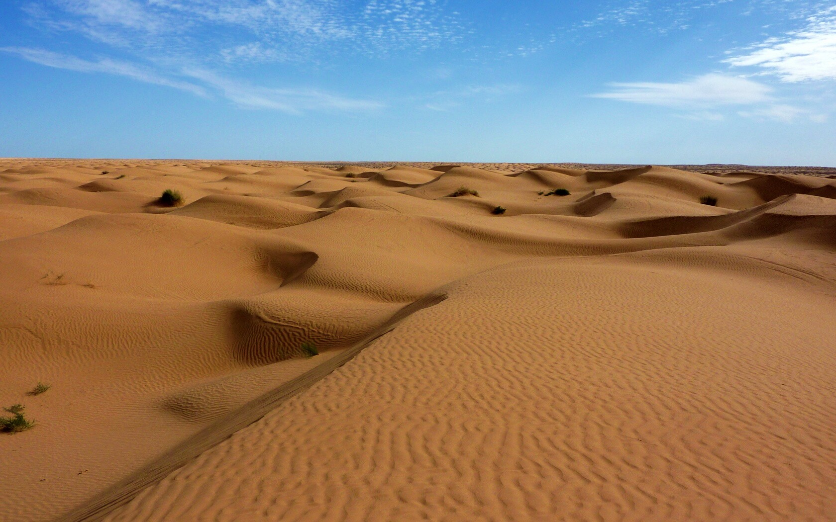 Пустыня до самого горизонта обои