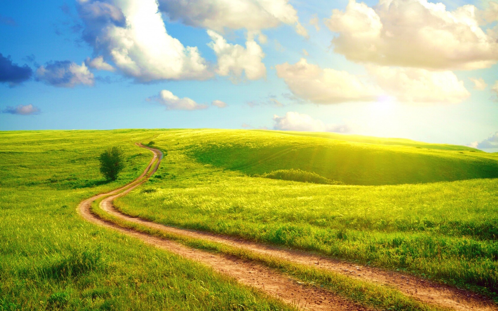 Дорога через луг обои