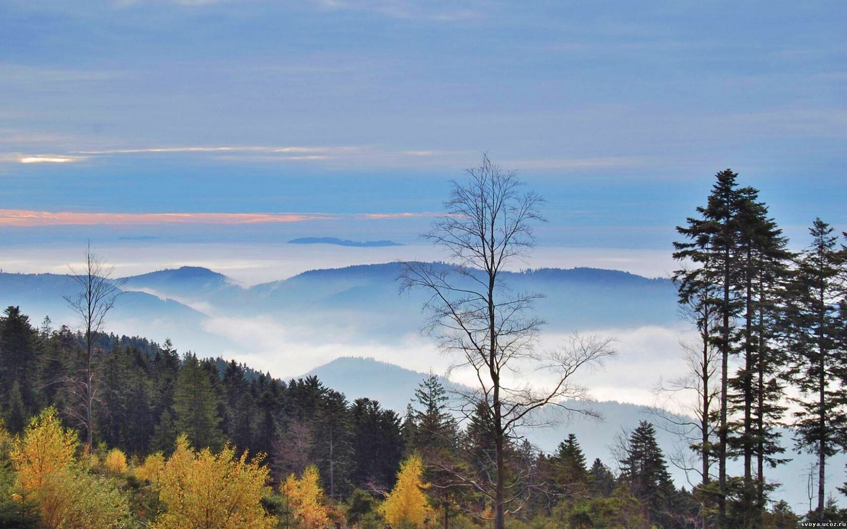 Холмы в тумане обои