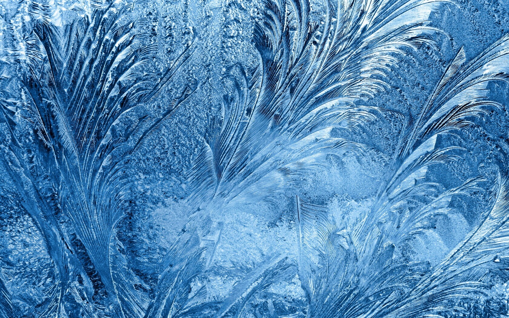 Зимние узоры обои