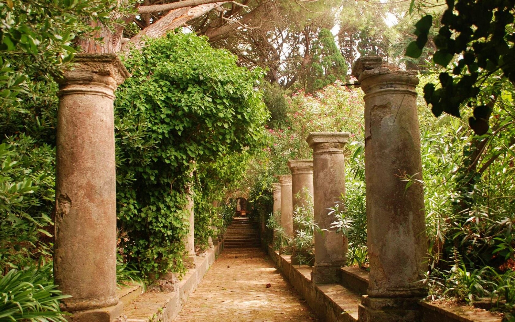 Галерея зимнего сада обои