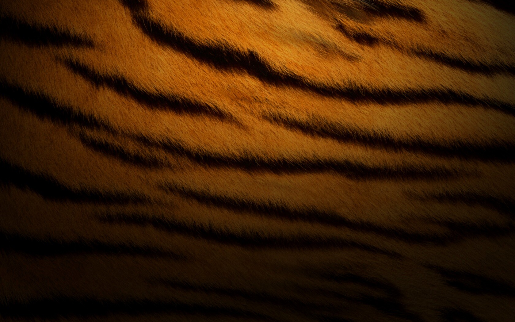 Тигриная шкура обои