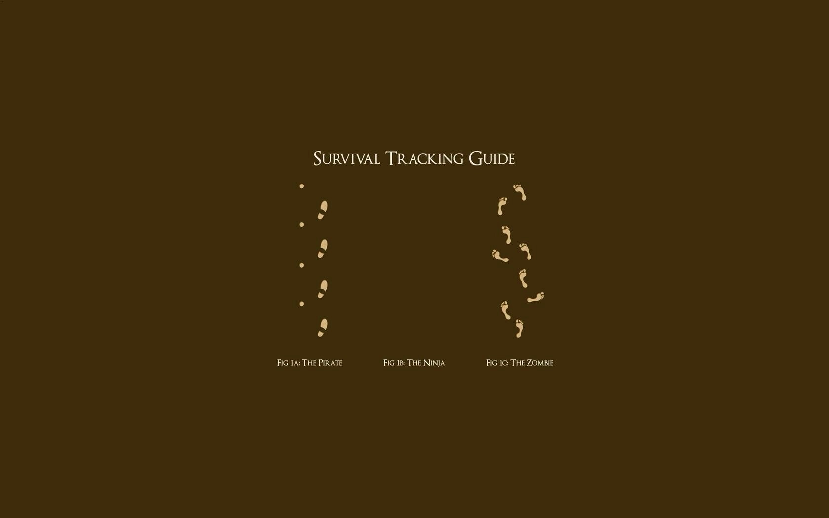 Следы: Пират, Ниндзя, Зомби обои