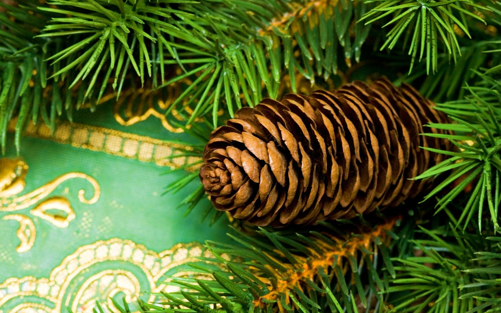 Шишка на елке обои