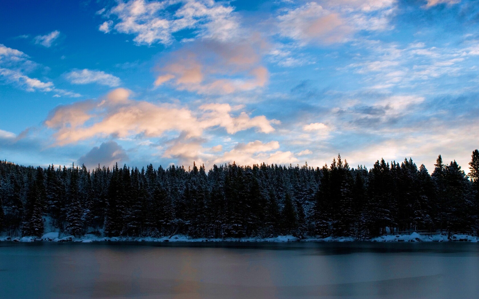 Лес на озере обои