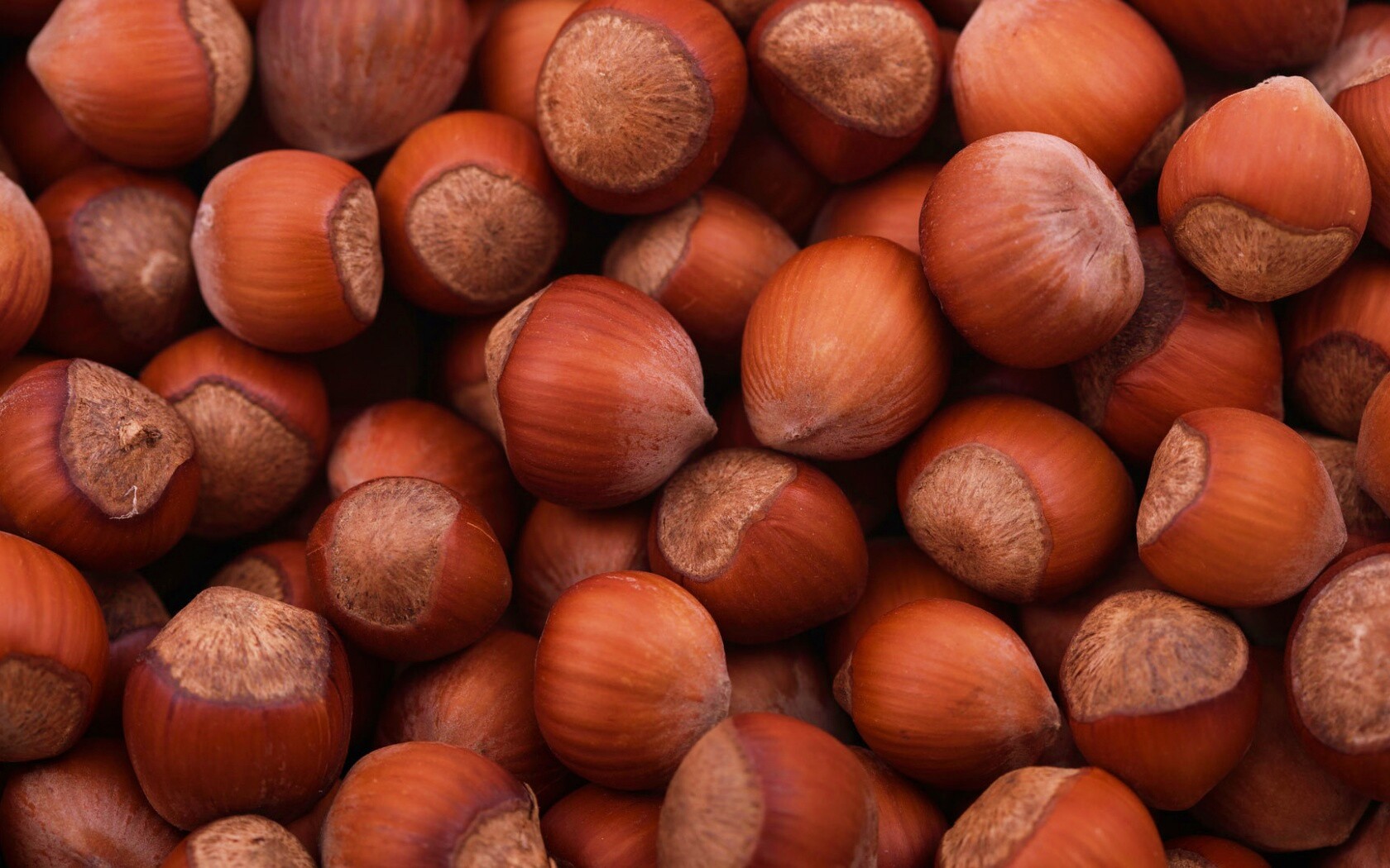 Фундук обои