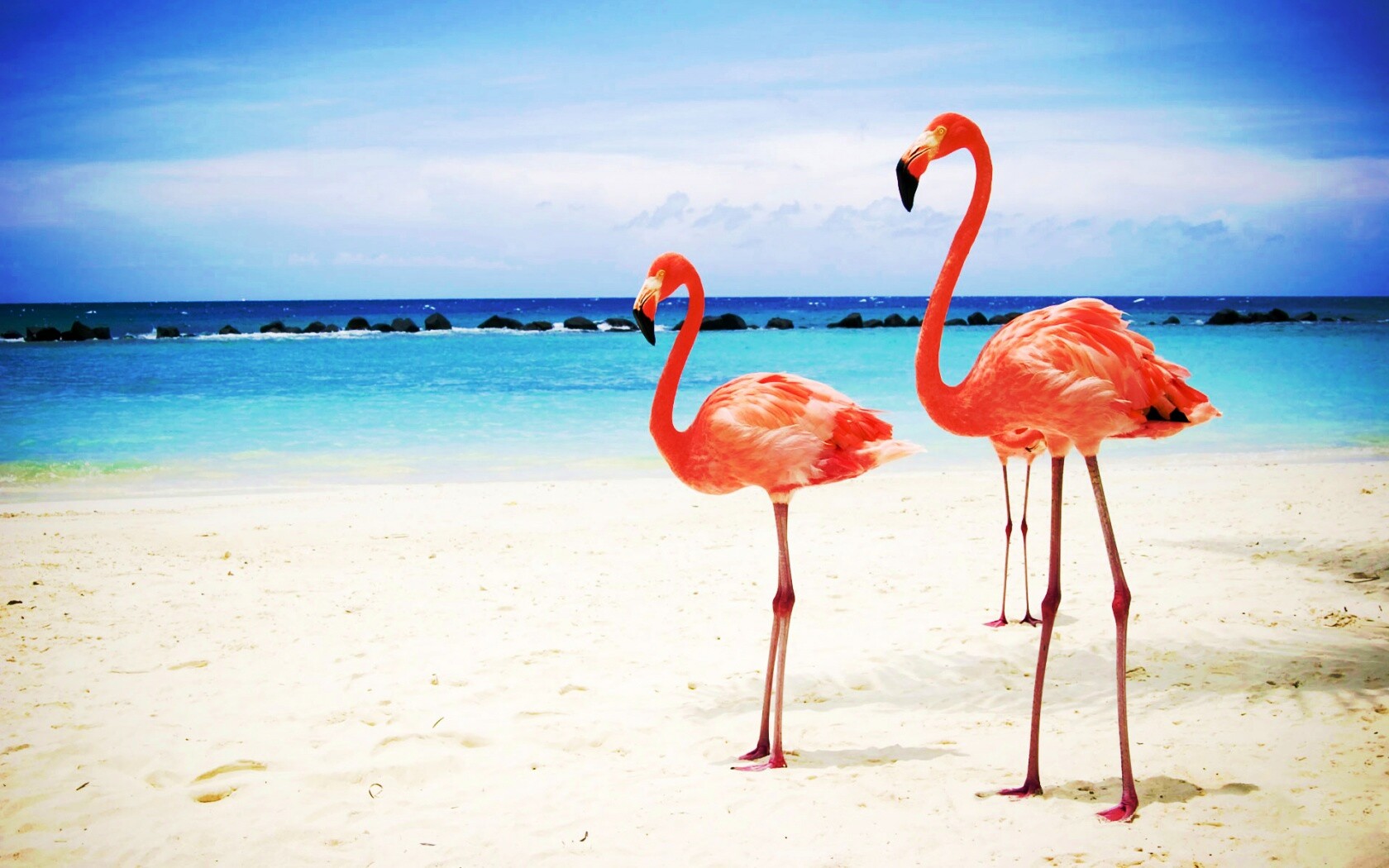 Розовые фламинго на пляже обои