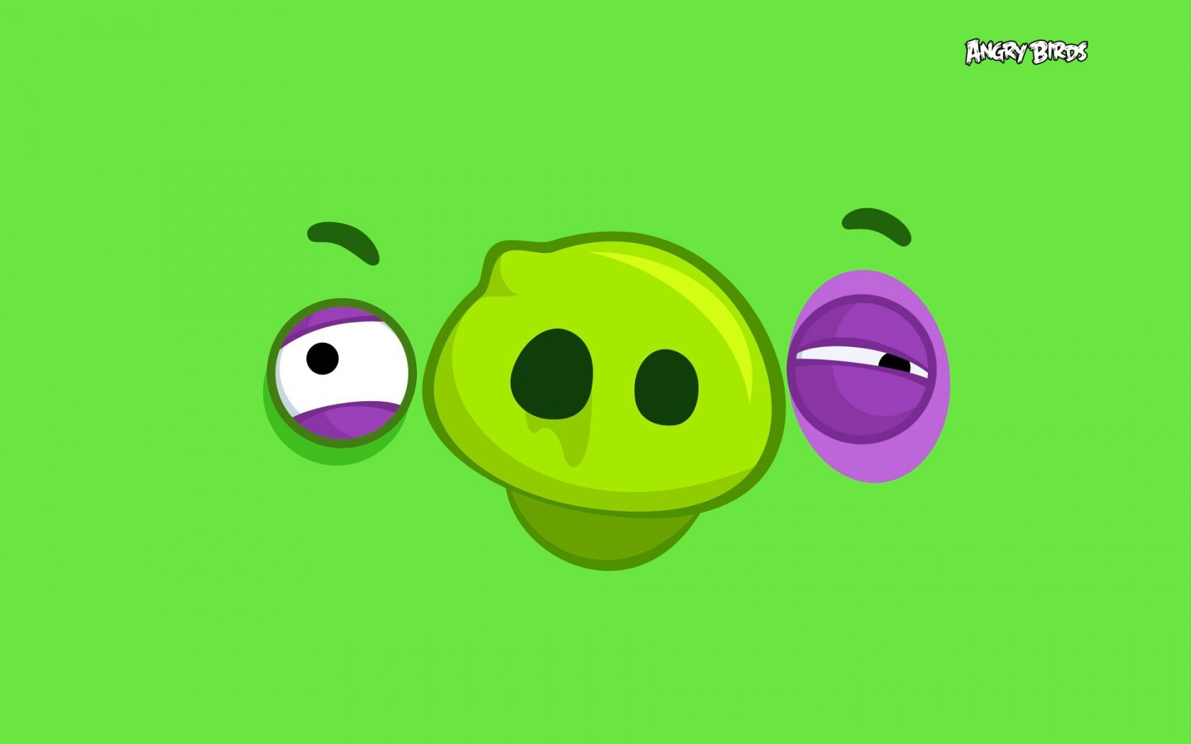 Свинья из Angry Birds обои