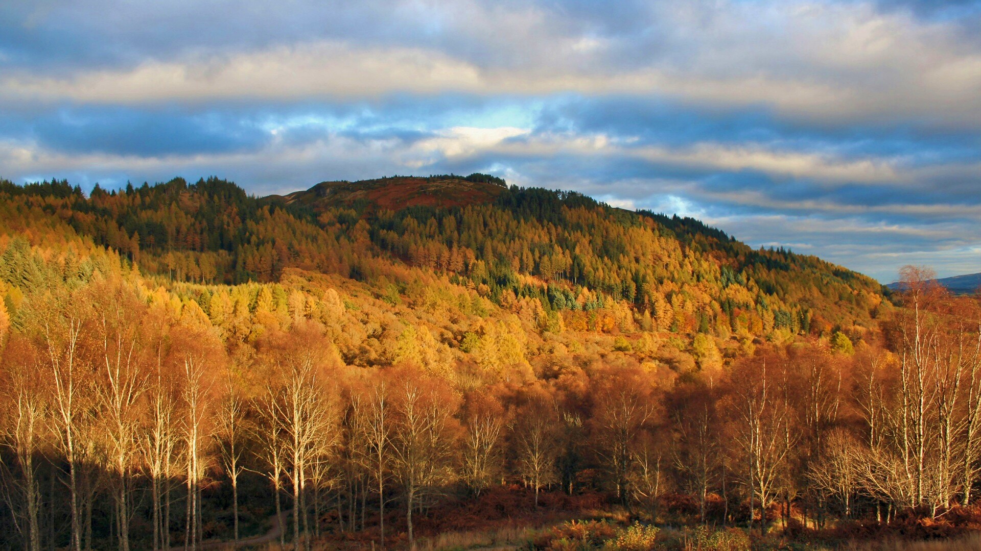 Золотая осень обои