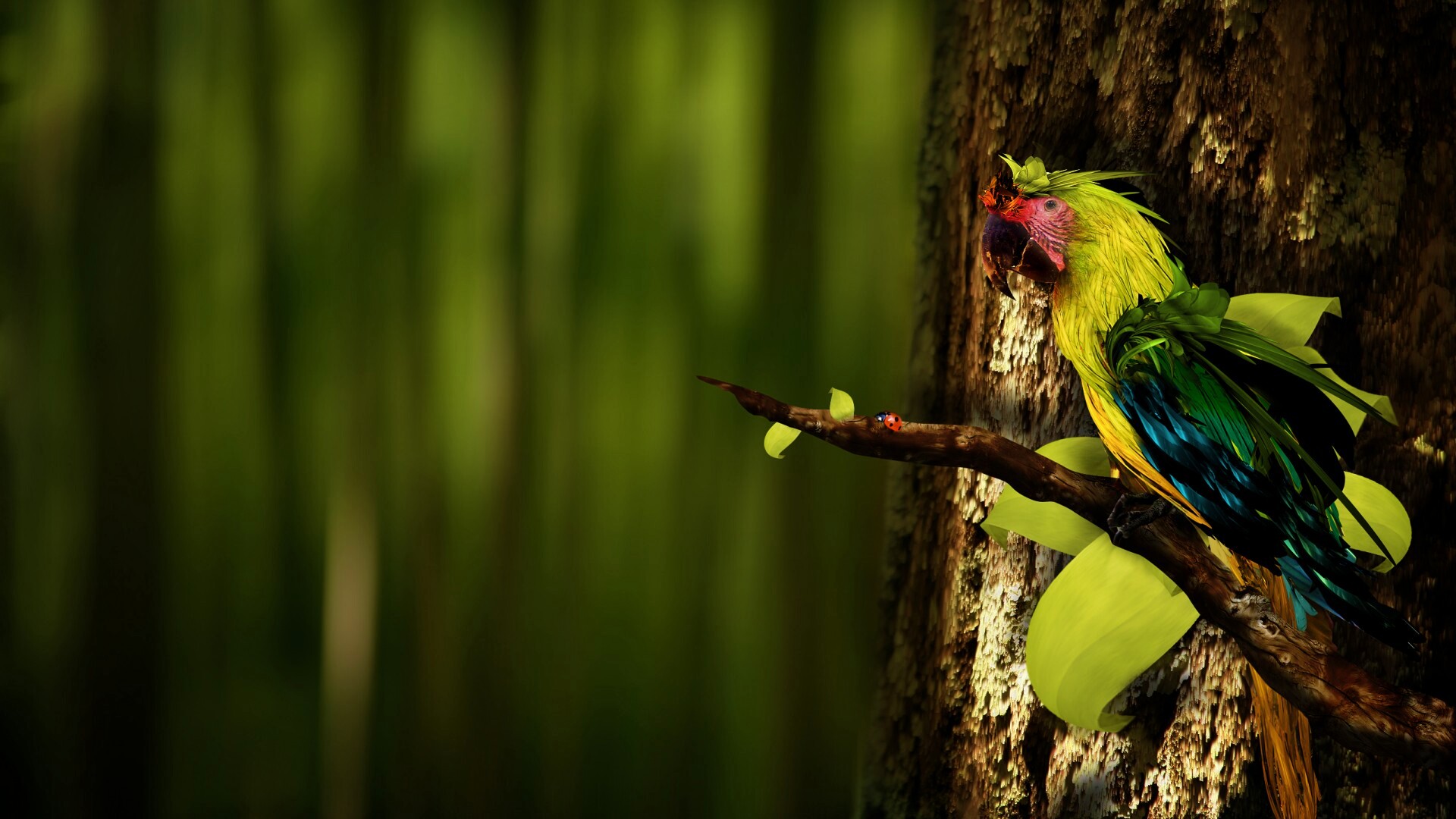 Попугай обои