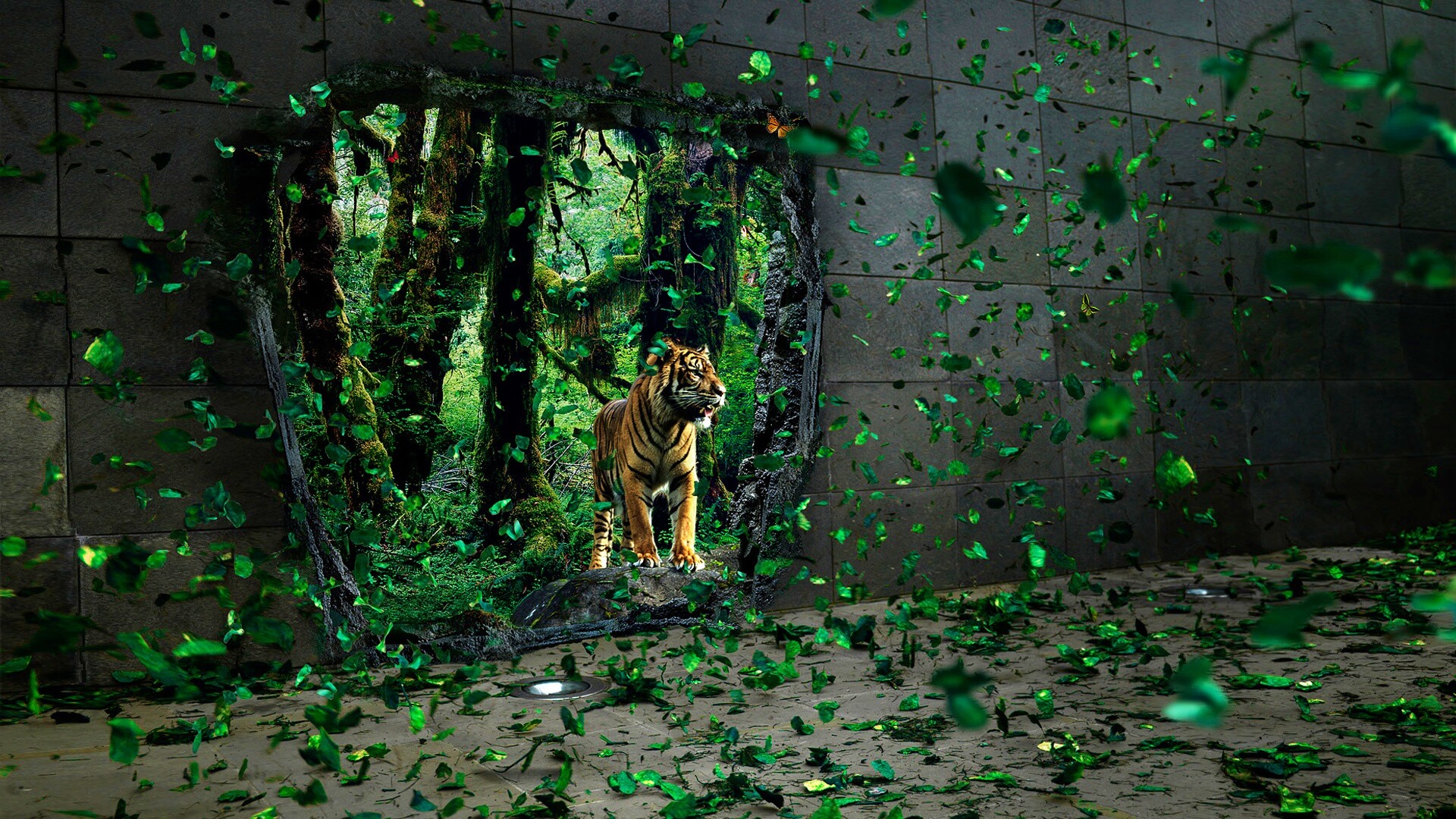 Портал в джунги обои