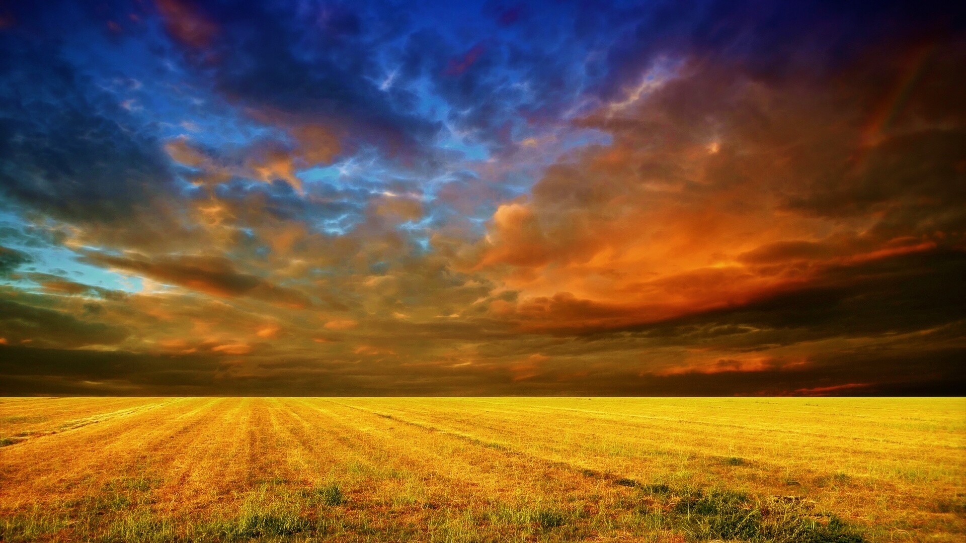 Тучи над желтым полем обои