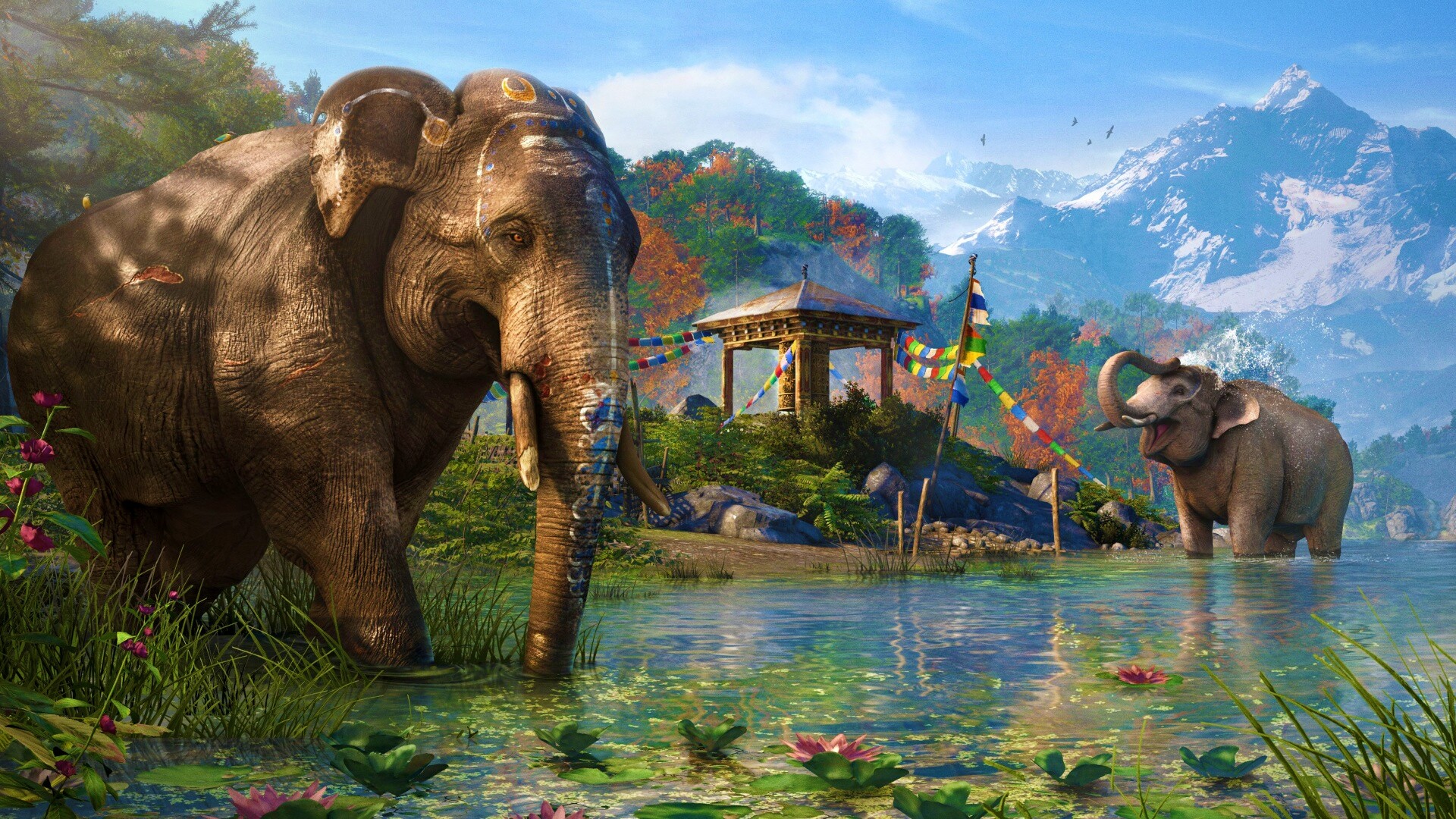 Слоники у воды обои