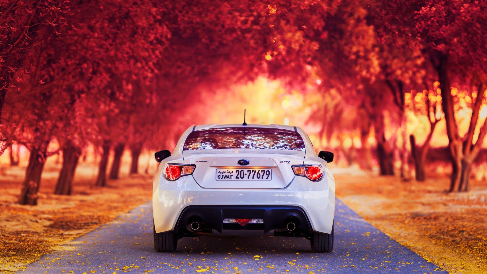 Субару на осенней дороге обои