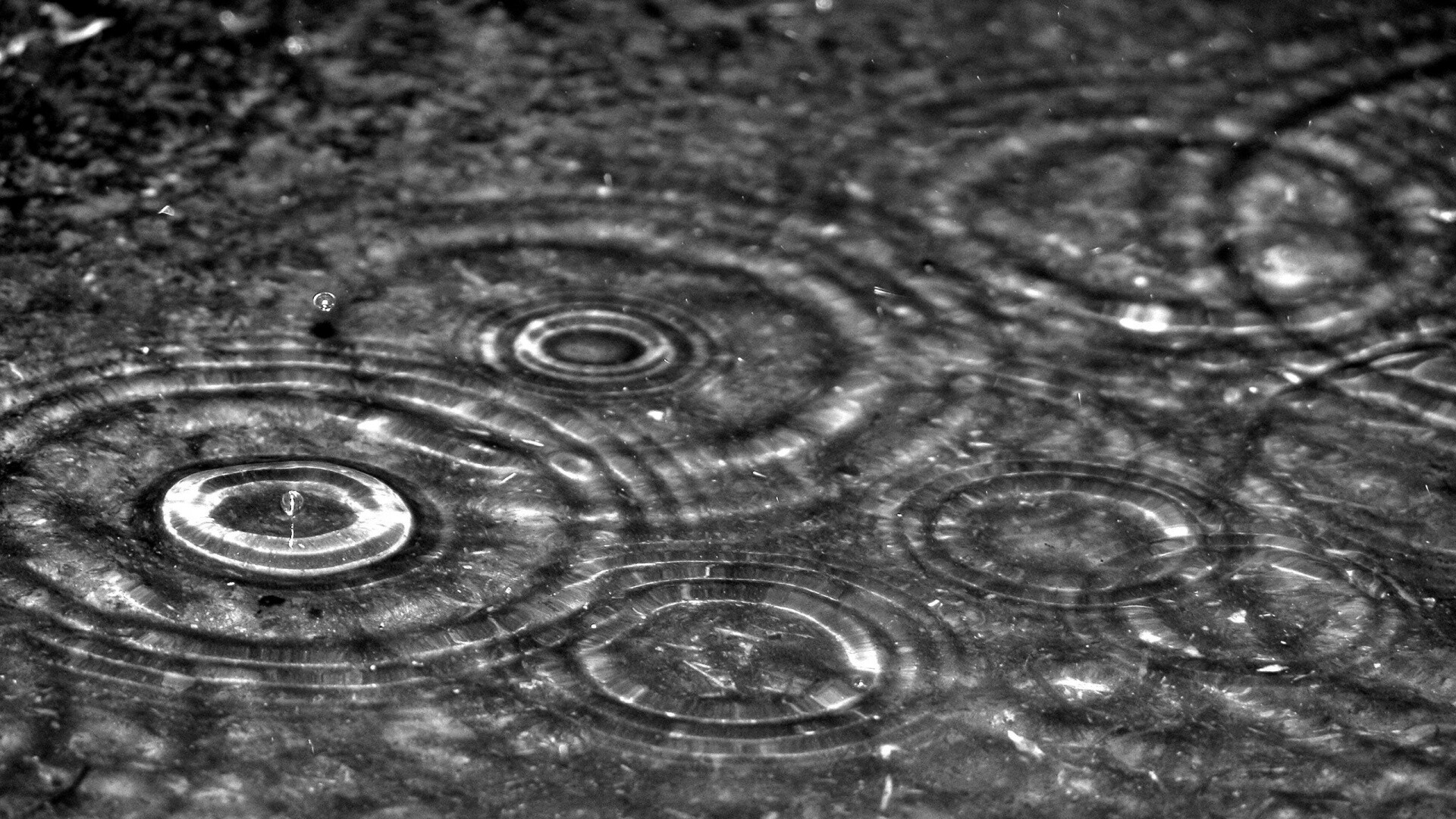 Круги на воде обои
