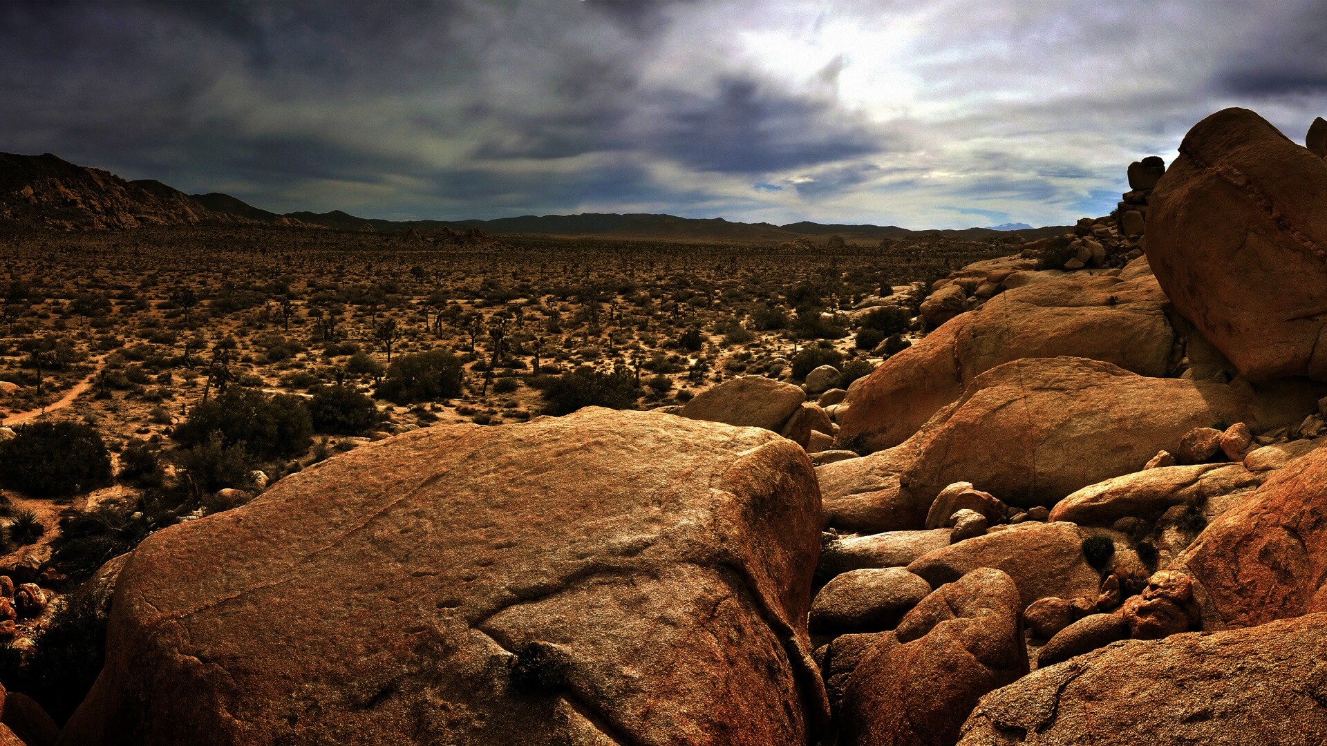 Пустыня Мохаве обои