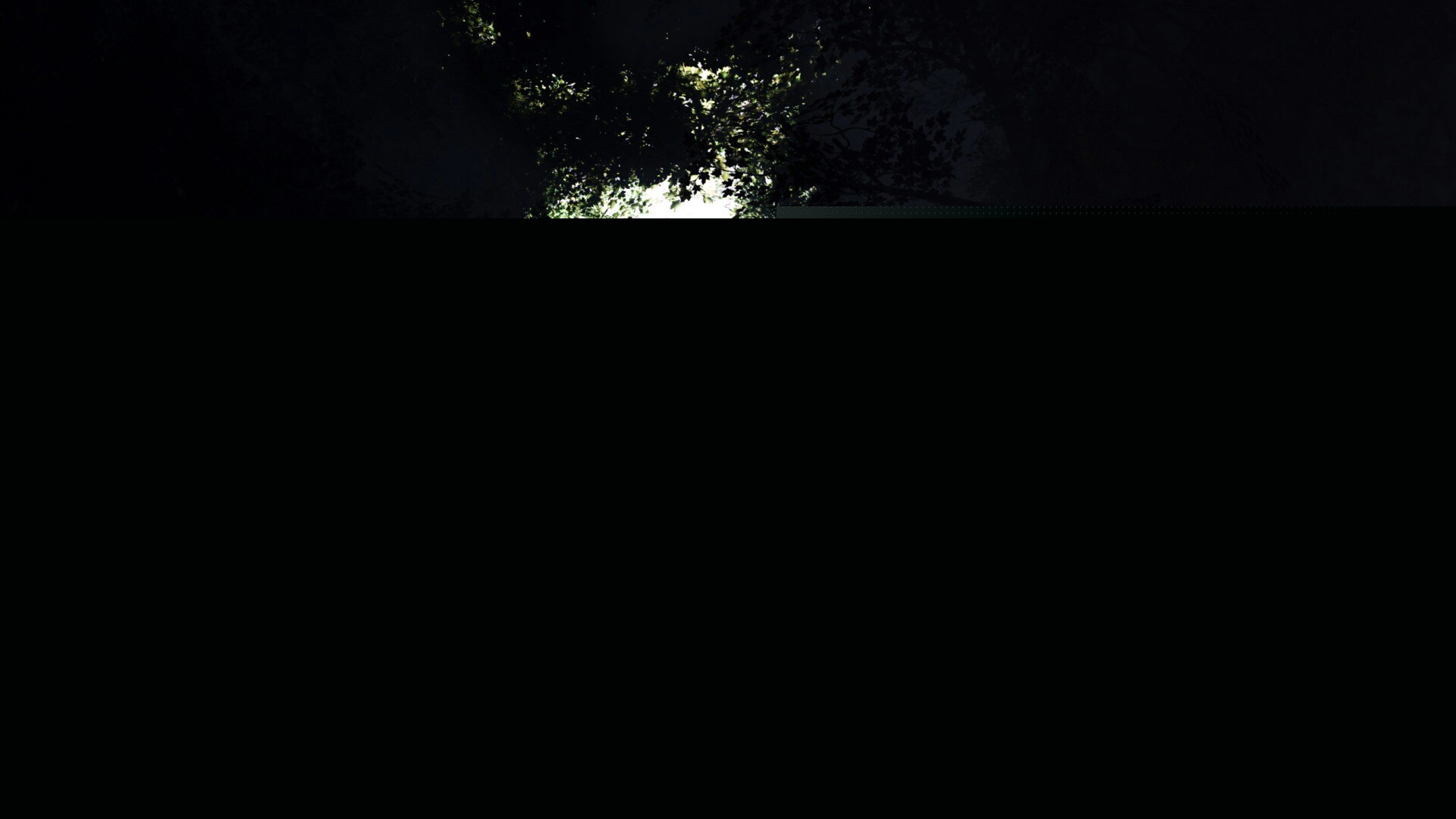 Сумерки в волшебном лесу обои