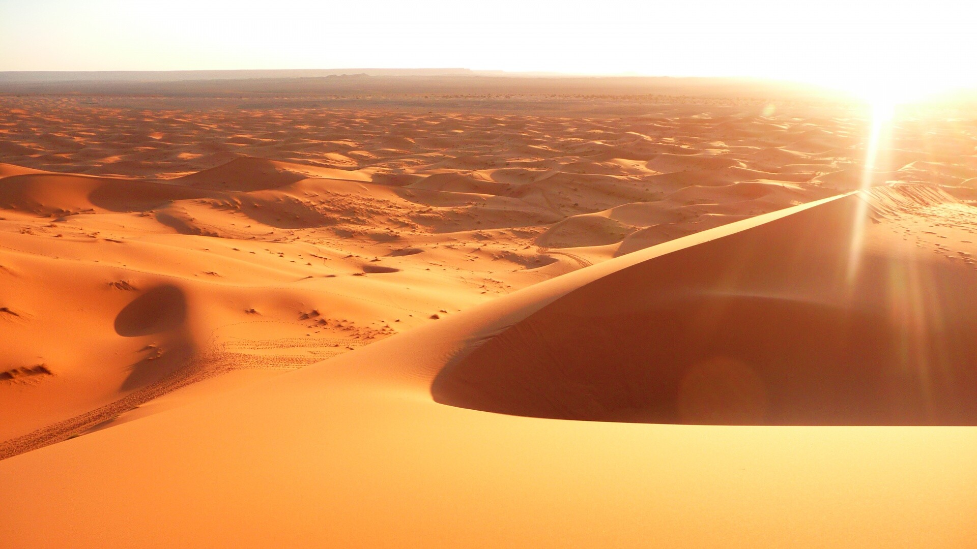 Солнечная пустыня обои