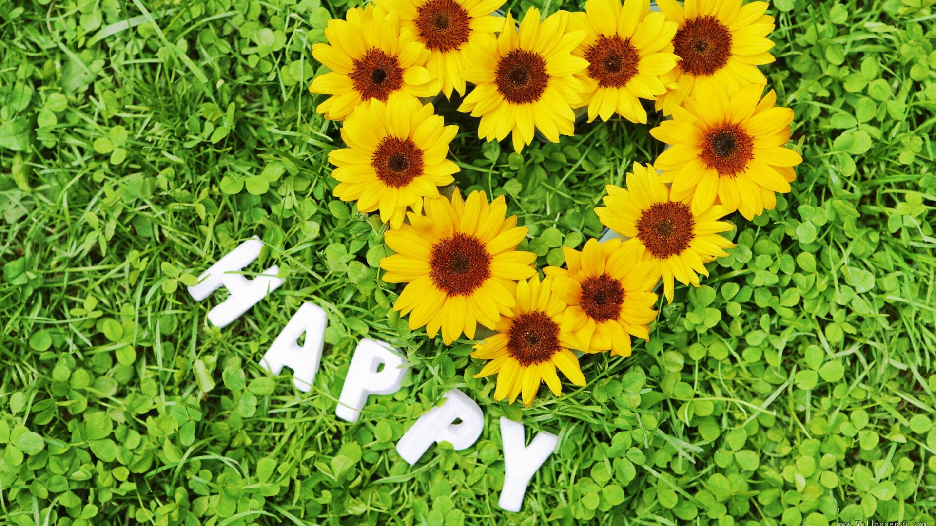 Радость обои