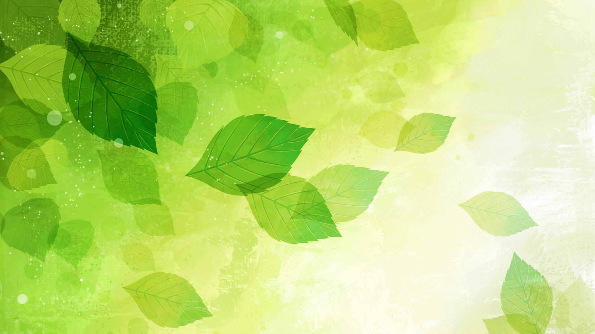 Прозрачные листья обои