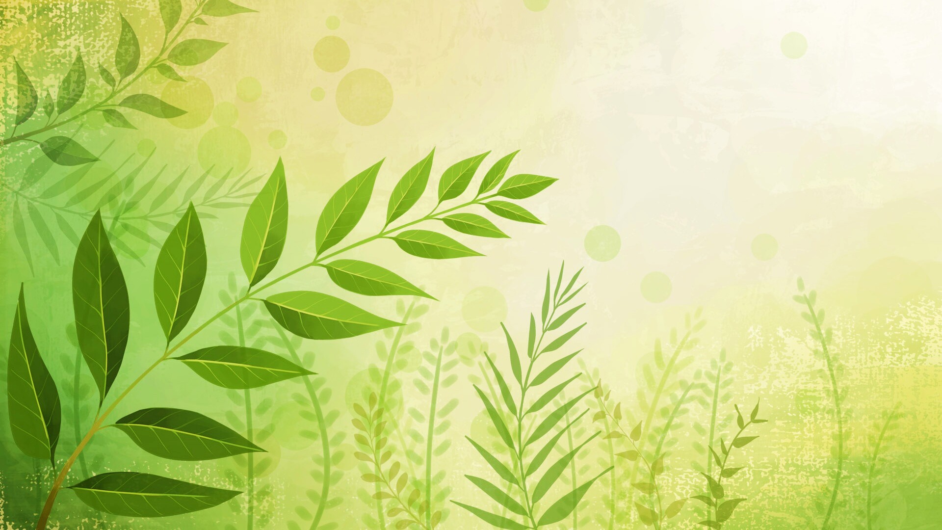 Веточка молодых листьев обои