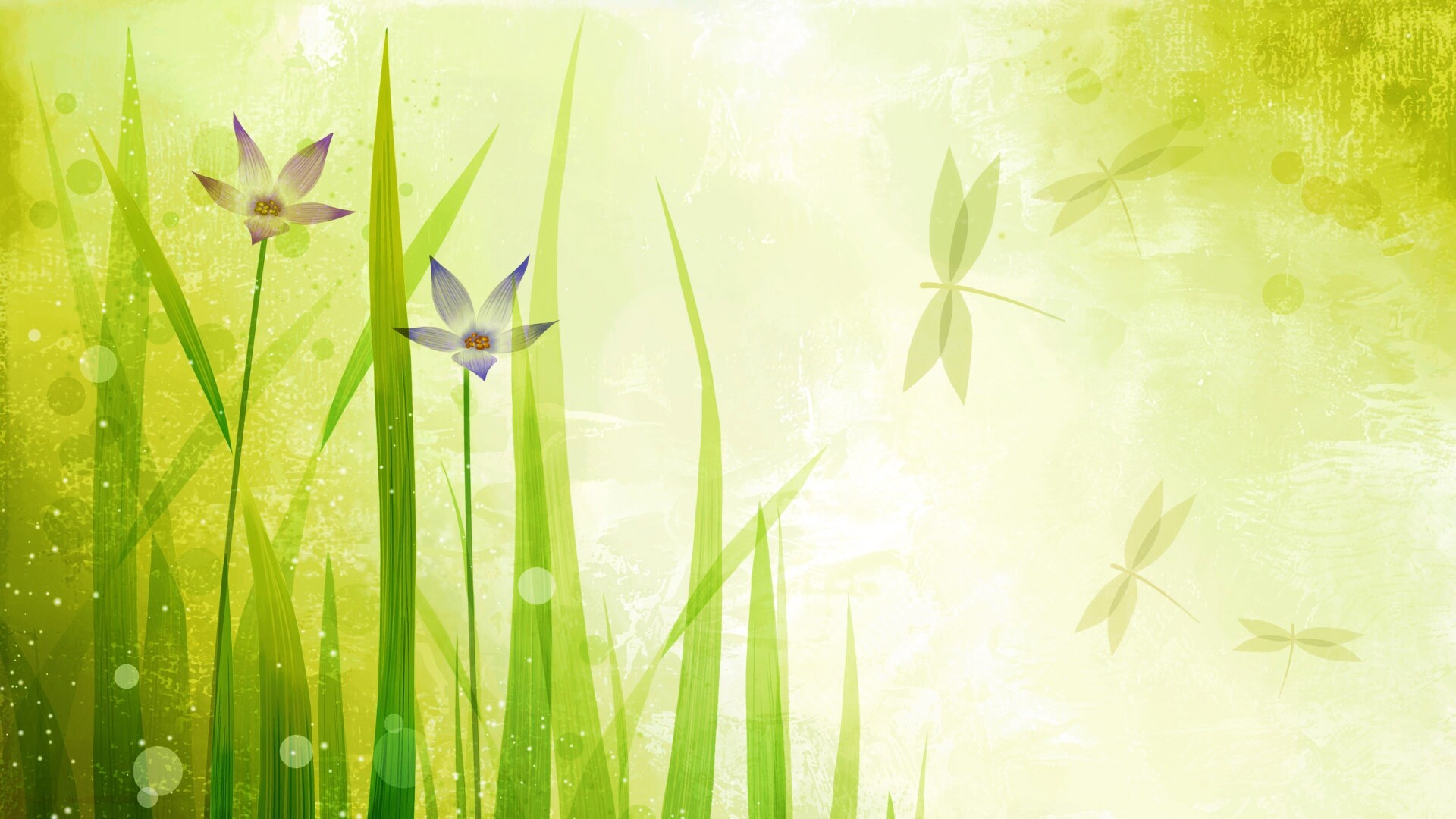 Векторные цветы обои