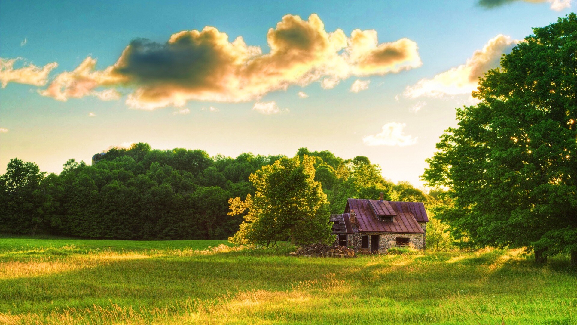 Домик в лесу обои