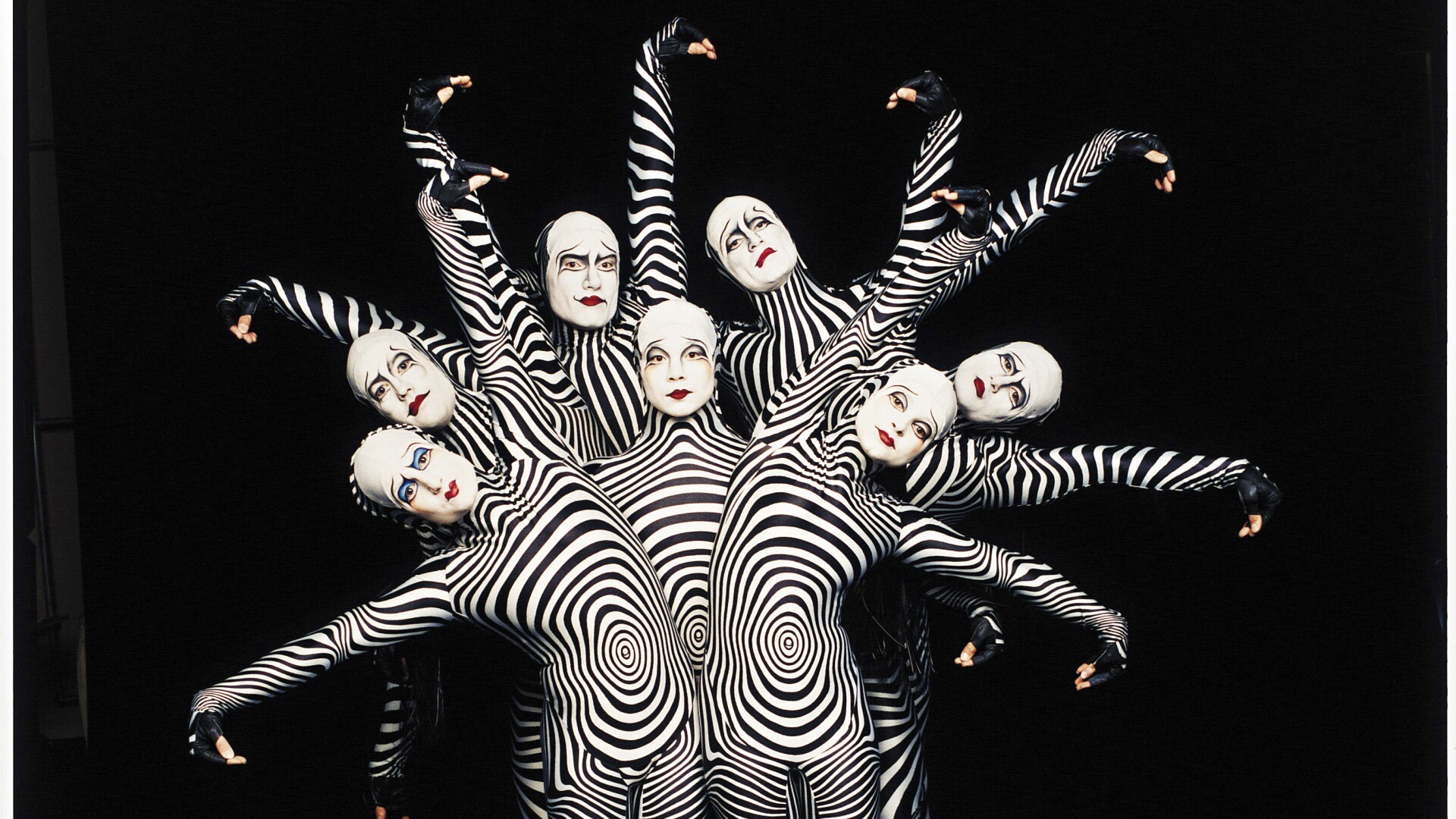 Зеброиды (актеры цирка дю солей) обои