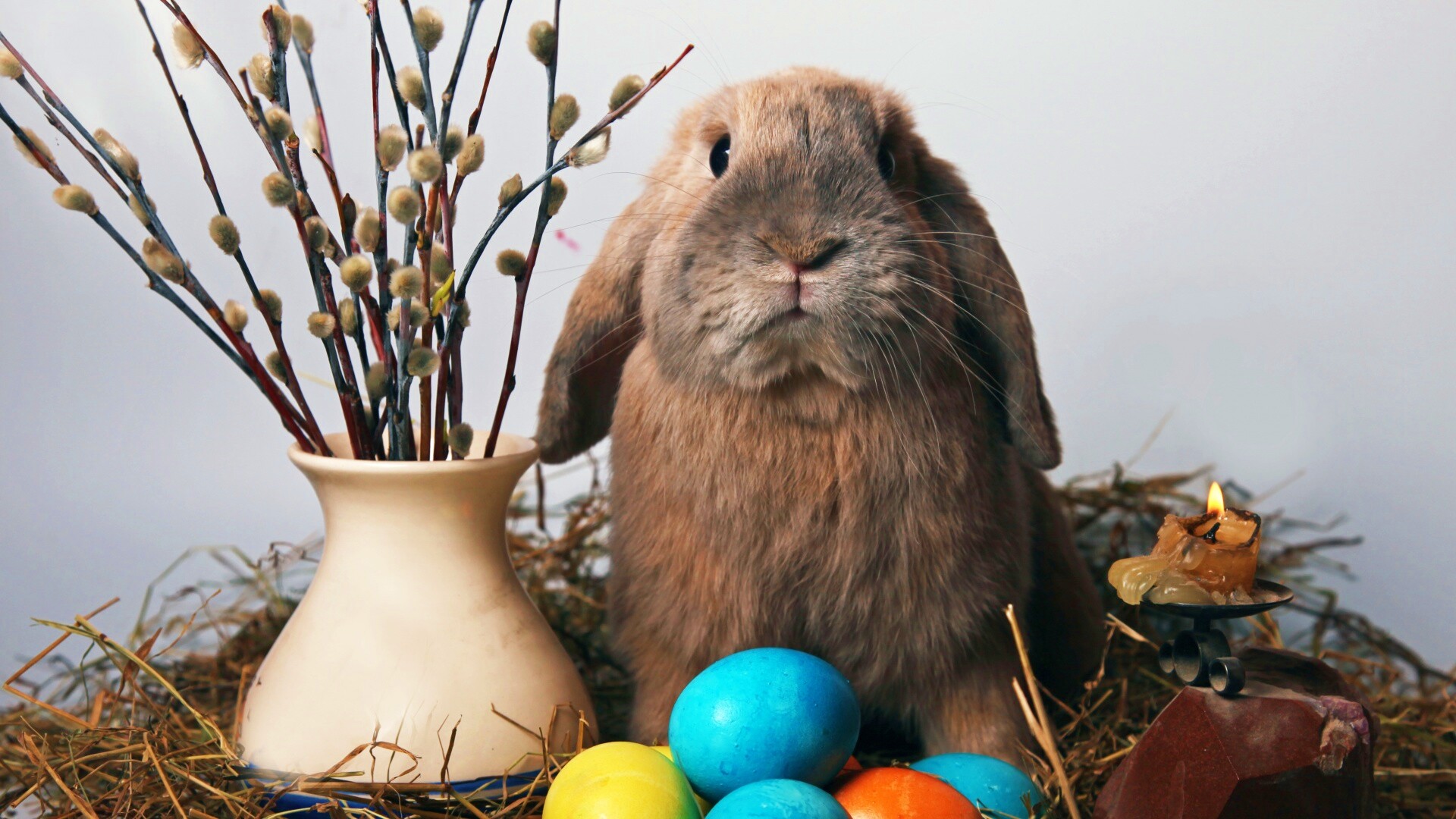 Пасхальный кролик обои
