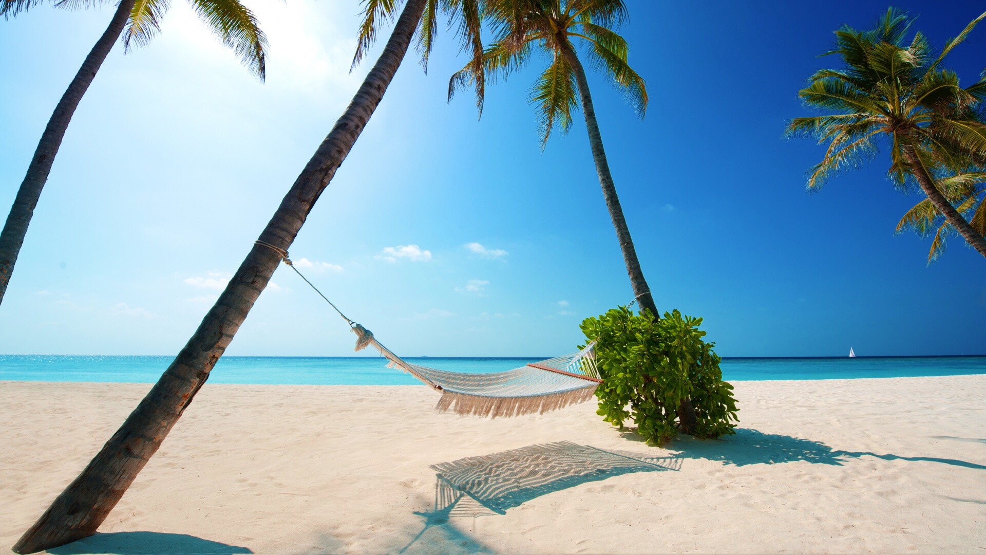 Тропический рай обои