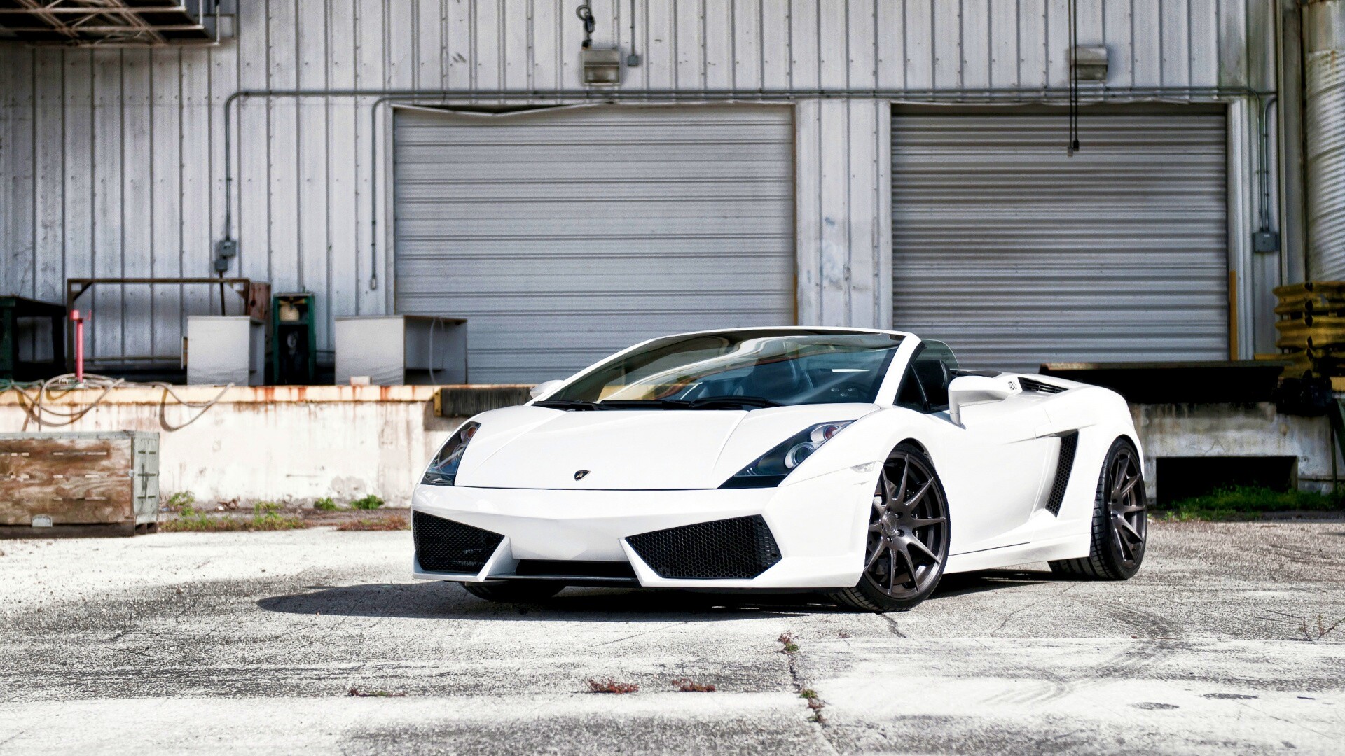 Белый спорткар Ламборгини Галлардо обои