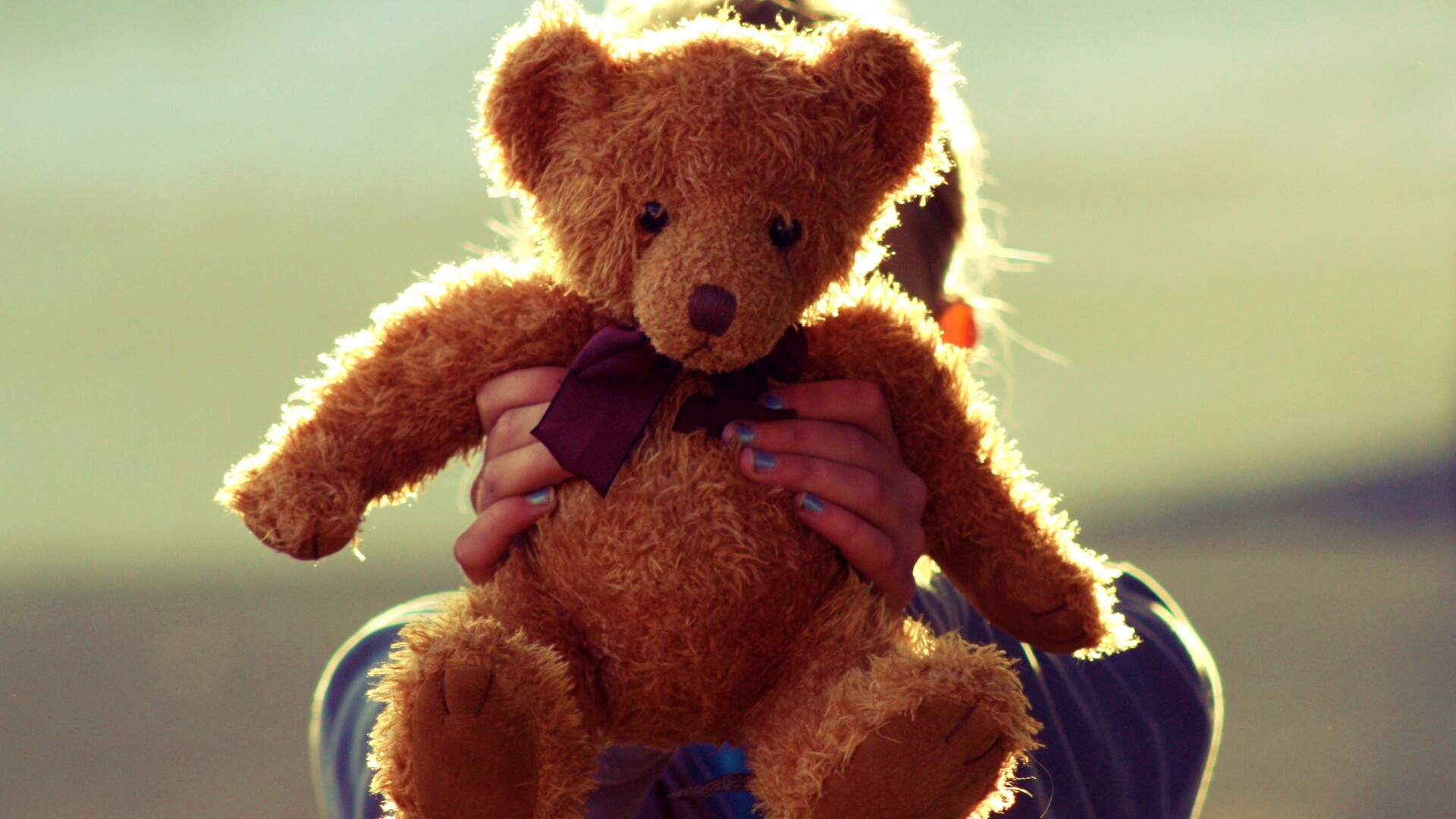 Плюшевый мишка обои