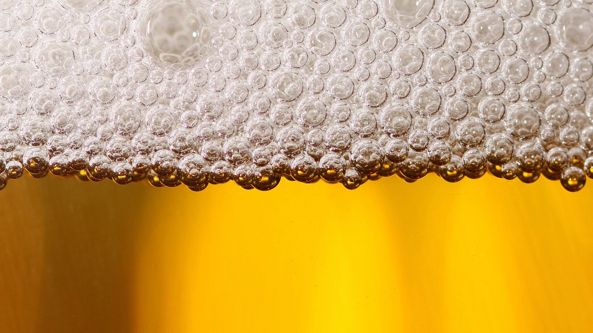 Пенное пиво в макро обои