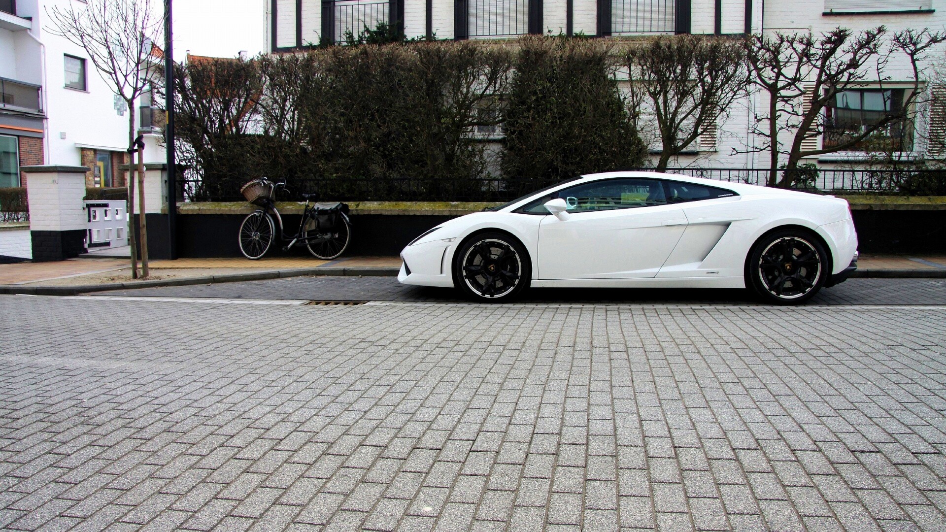 Белый Lamborghini обои