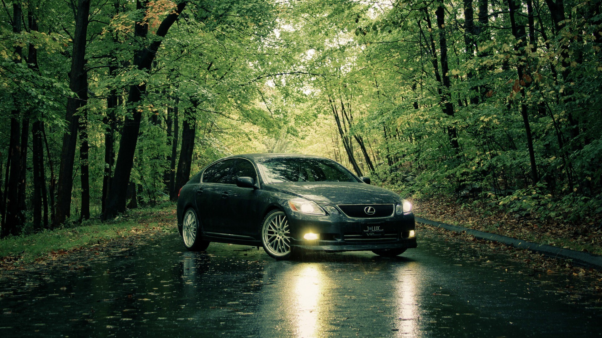 Лексус на лесной дороге обои